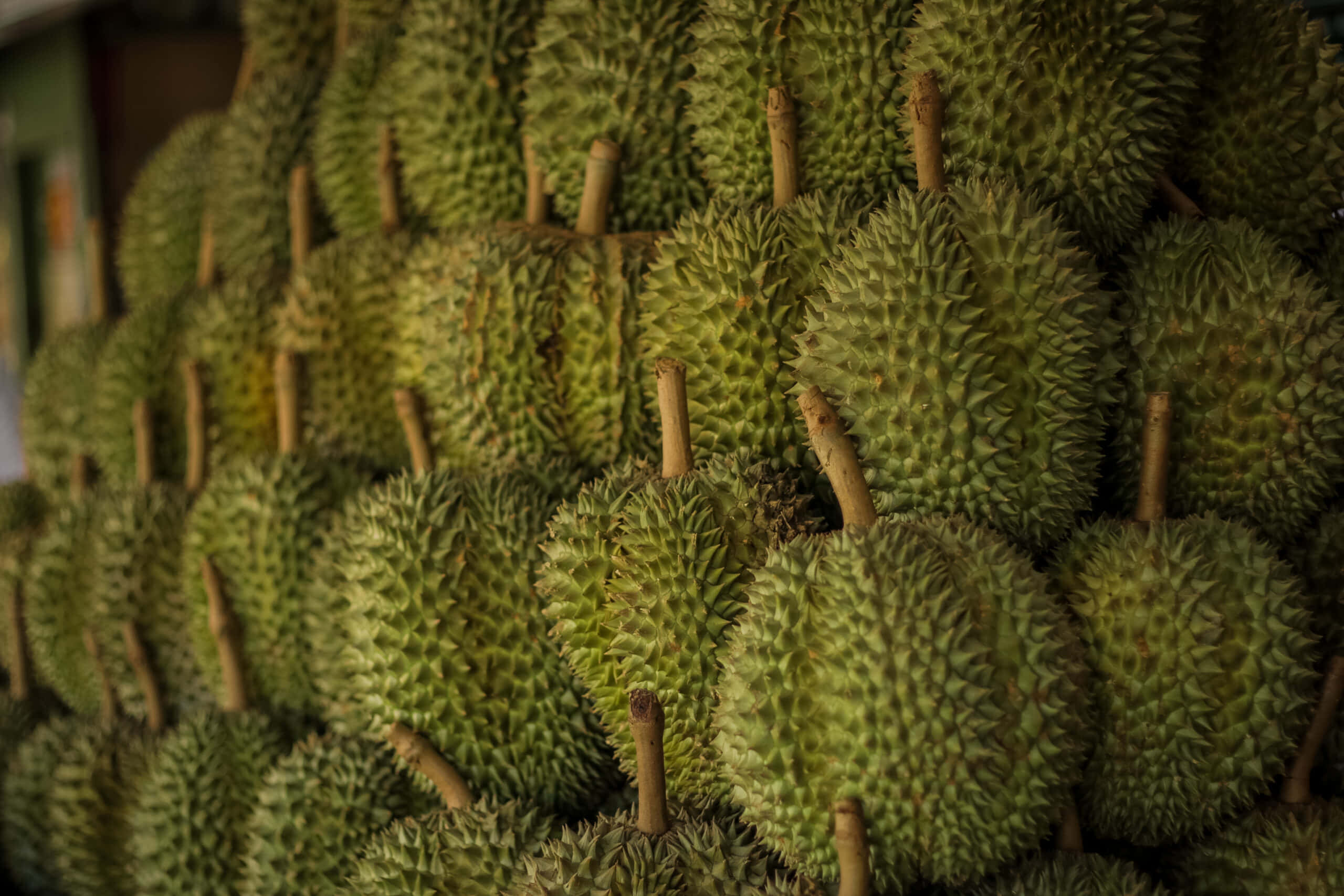 durian fruit, green spiky, brown stems, 2K Desktop Wallpaper