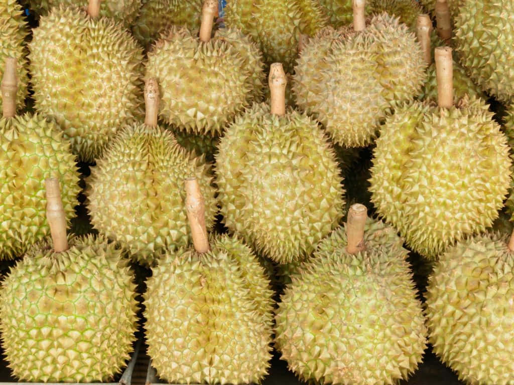 durian, spiky greenish-yellow, woody stems, SD Desktop Wallpaper