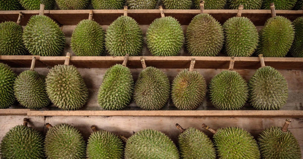 Durian, spiky green, wooden crates, SD Desktop Wallpaper