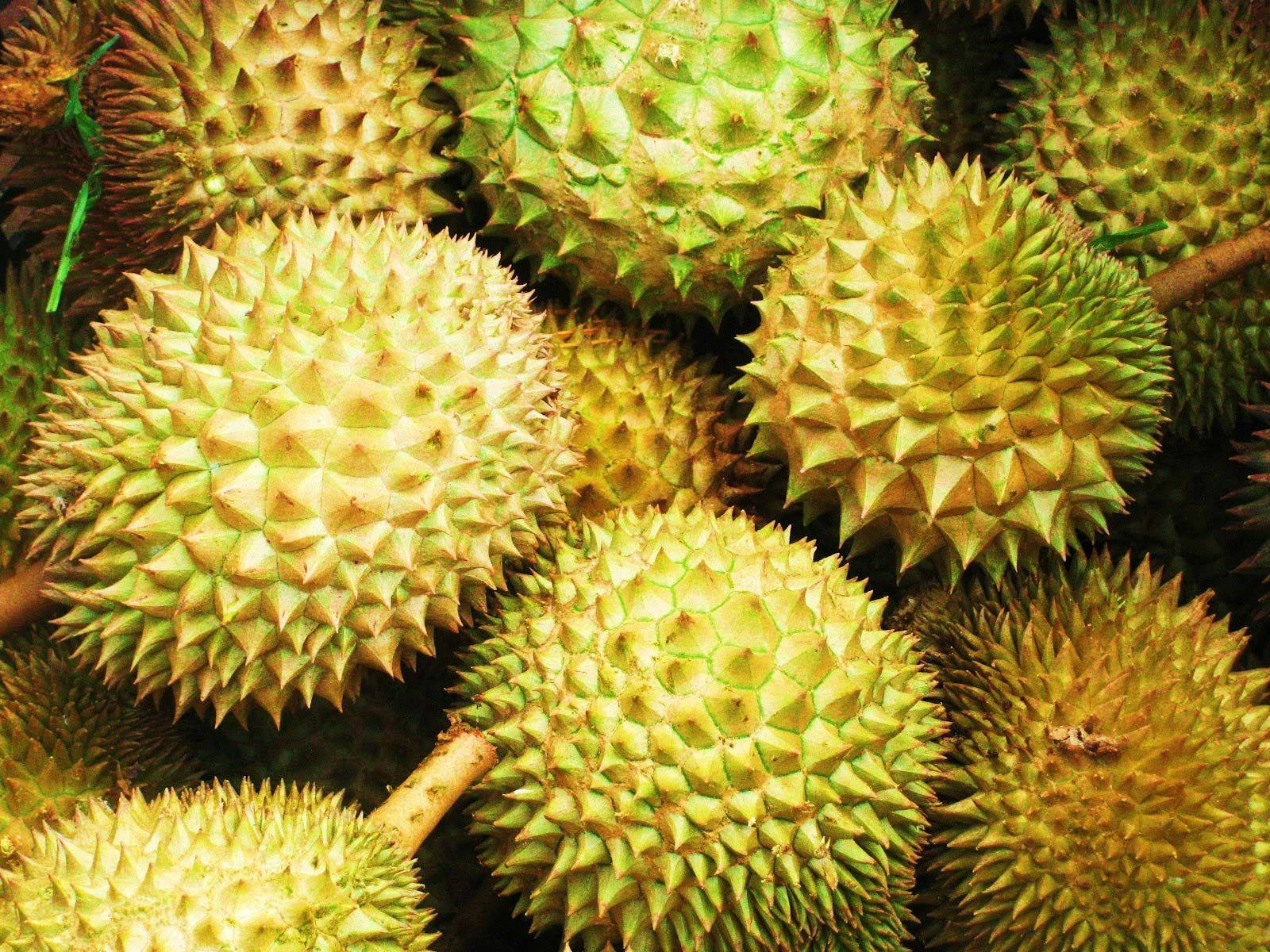 spiky green durian fruits, textured husks, earthy tones, HD Desktop Wallpaper