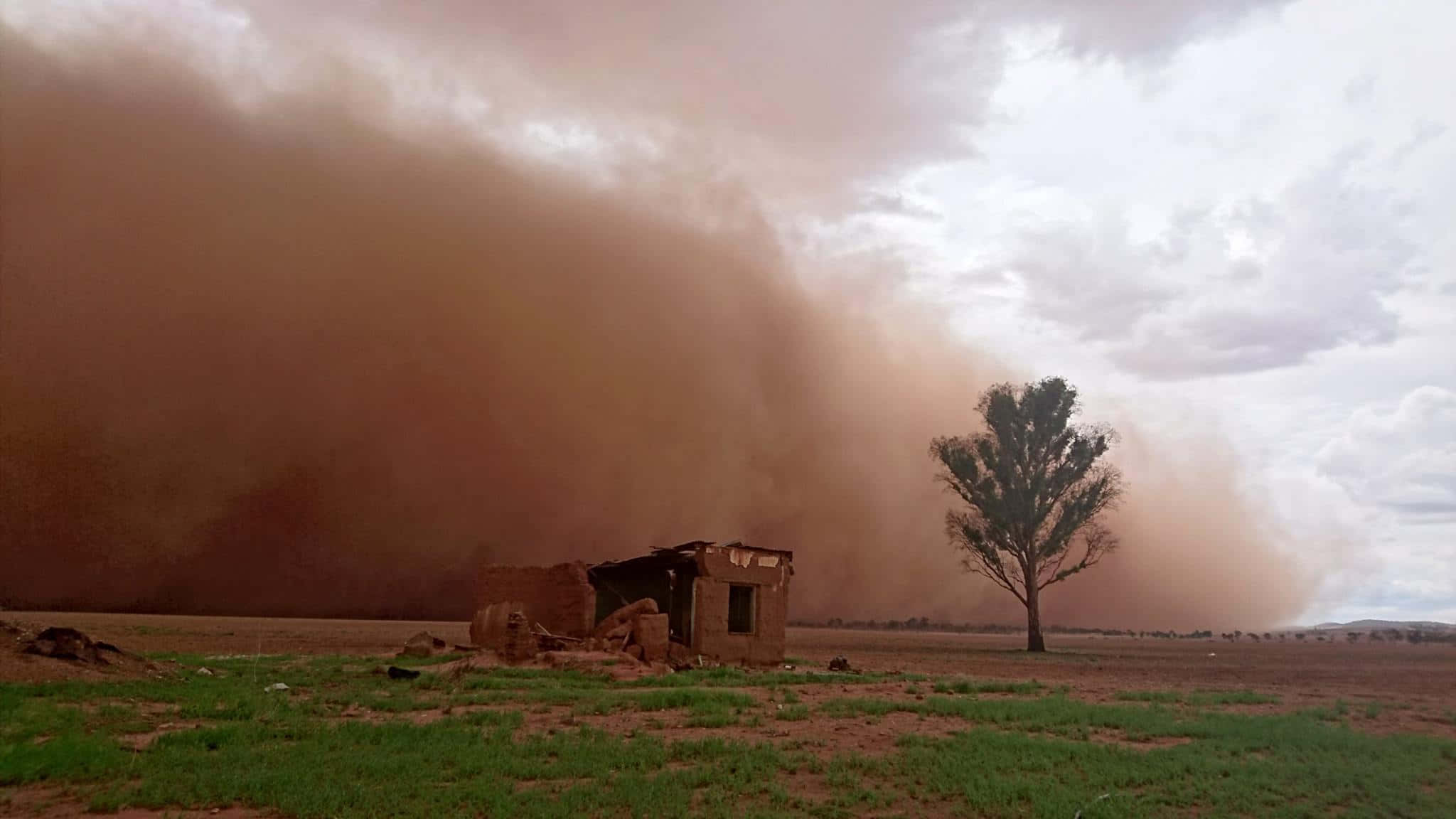 dust storm, ruined shack, lone tree, Full HD Desktop Wallpaper