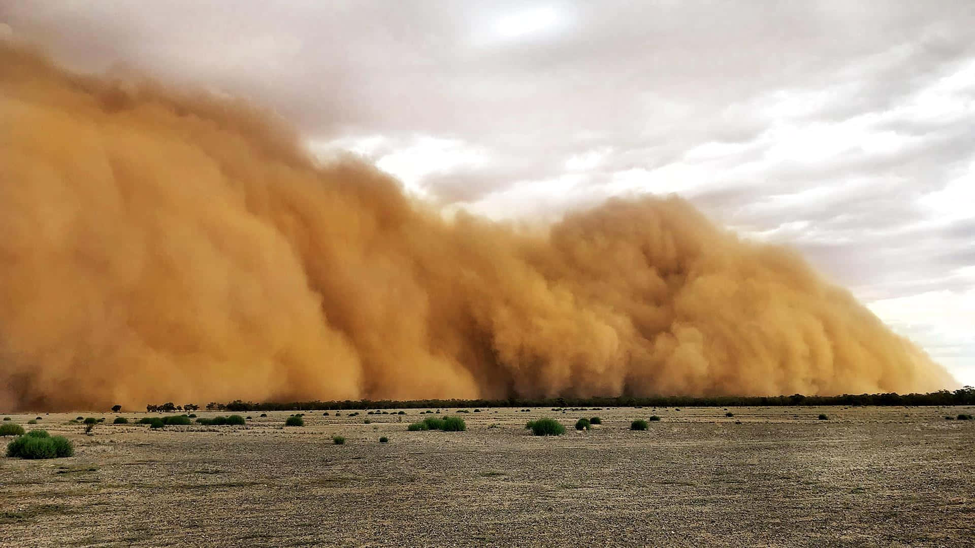 dust storm, desert landscape, golden dust storm, Full HD Desktop Wallpaper