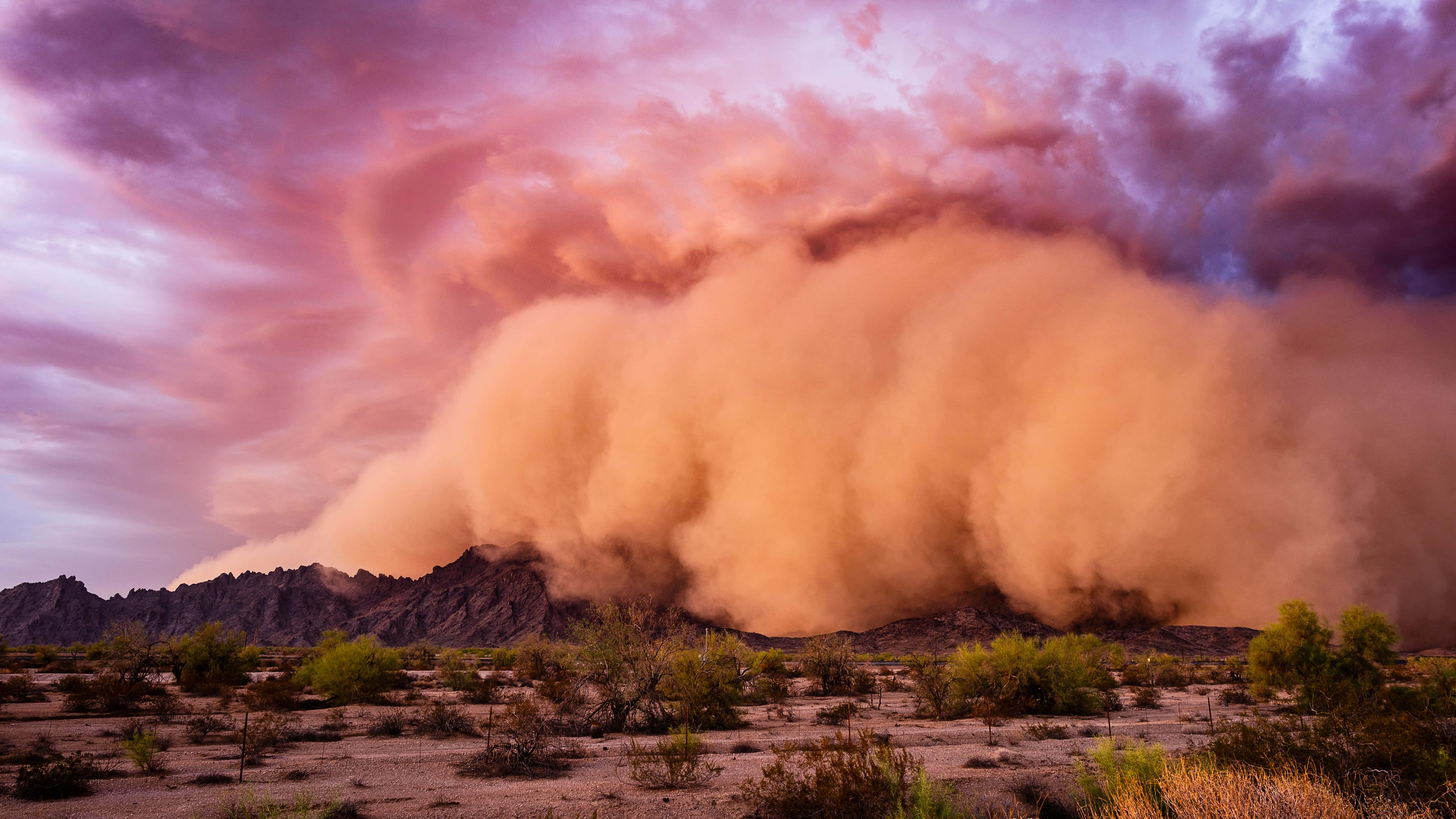 dust storm, desert landscape, vibrant pink sky, 5K Desktop Wallpaper