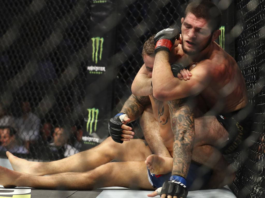 Dustin Poirier, cage, mixed martial arts match, SD Desktop Wallpaper
