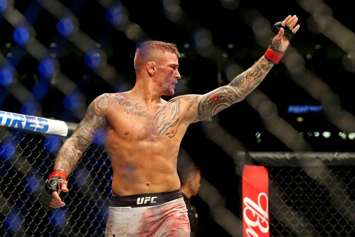 Dustin Poirier, UFC shorts, bloodstained octagon cage, SD Desktop Wallpaper