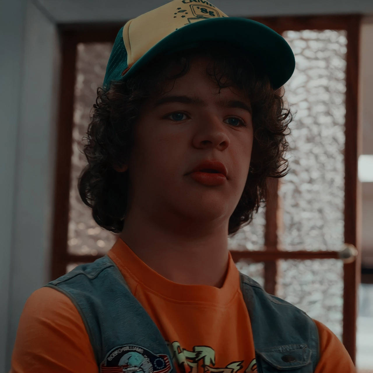 Dustin, Stranger Things, curly hair, HD Desktop Wallpaper