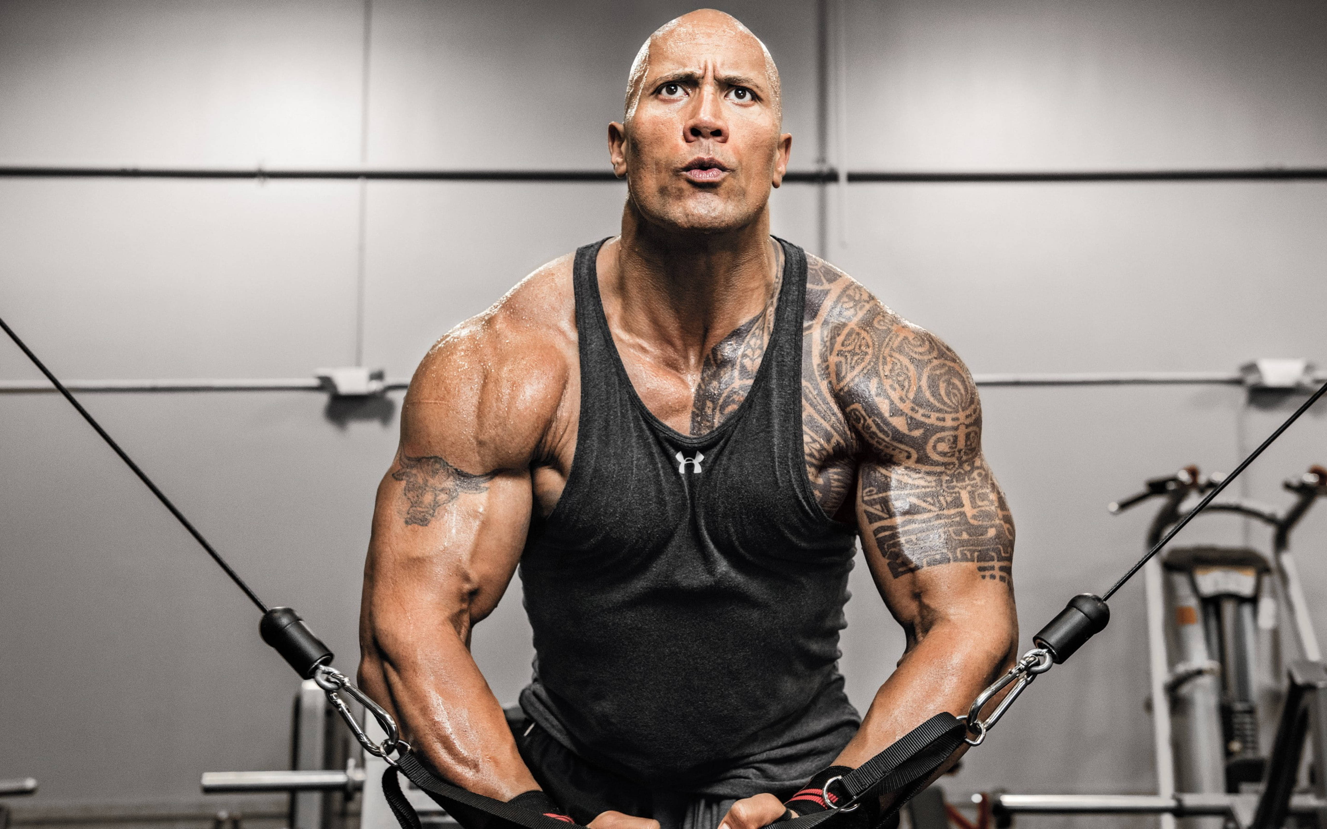 Dwayne Johnson, gym, cable machines, 5K Desktop Wallpaper