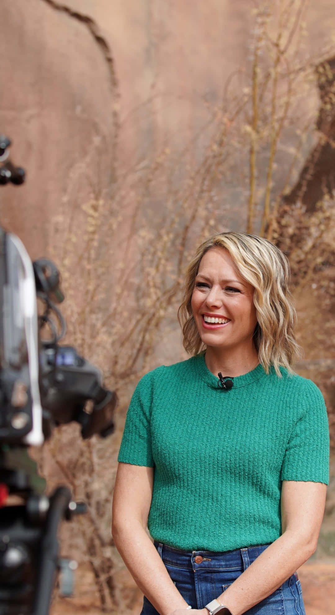Dylan Dreyer, green sweater, desert canyon, Full HD Phone Wallpaper