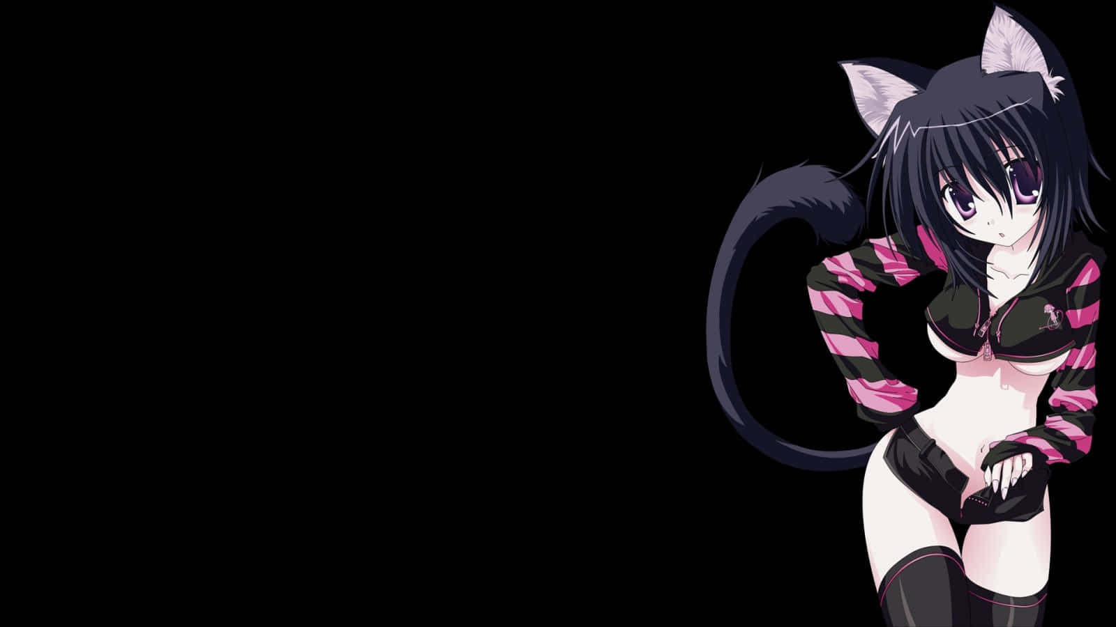 Dynamic Anime, sexy neko girl, black cat ears, HD Desktop Wallpaper