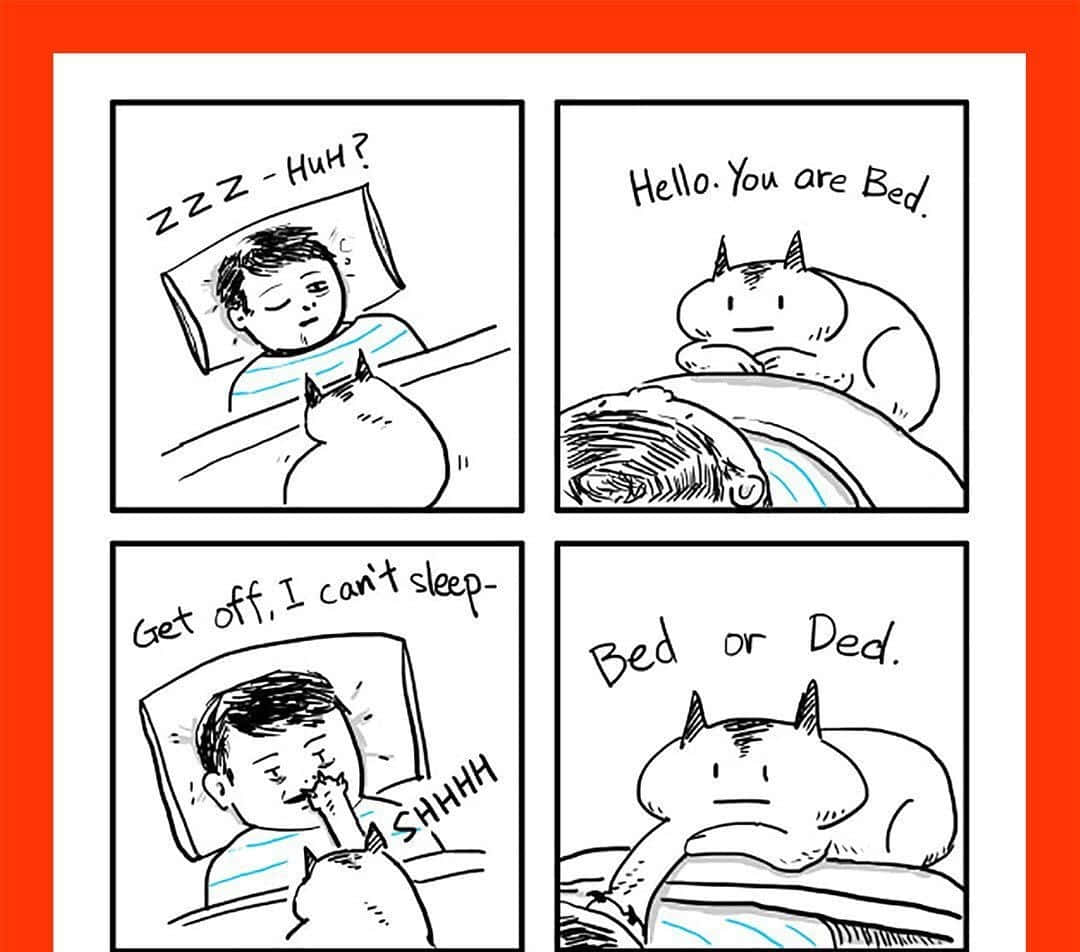 e-commerce memes, four-panel comic strip, person trying to sleep, SD Desktop Wallpaper