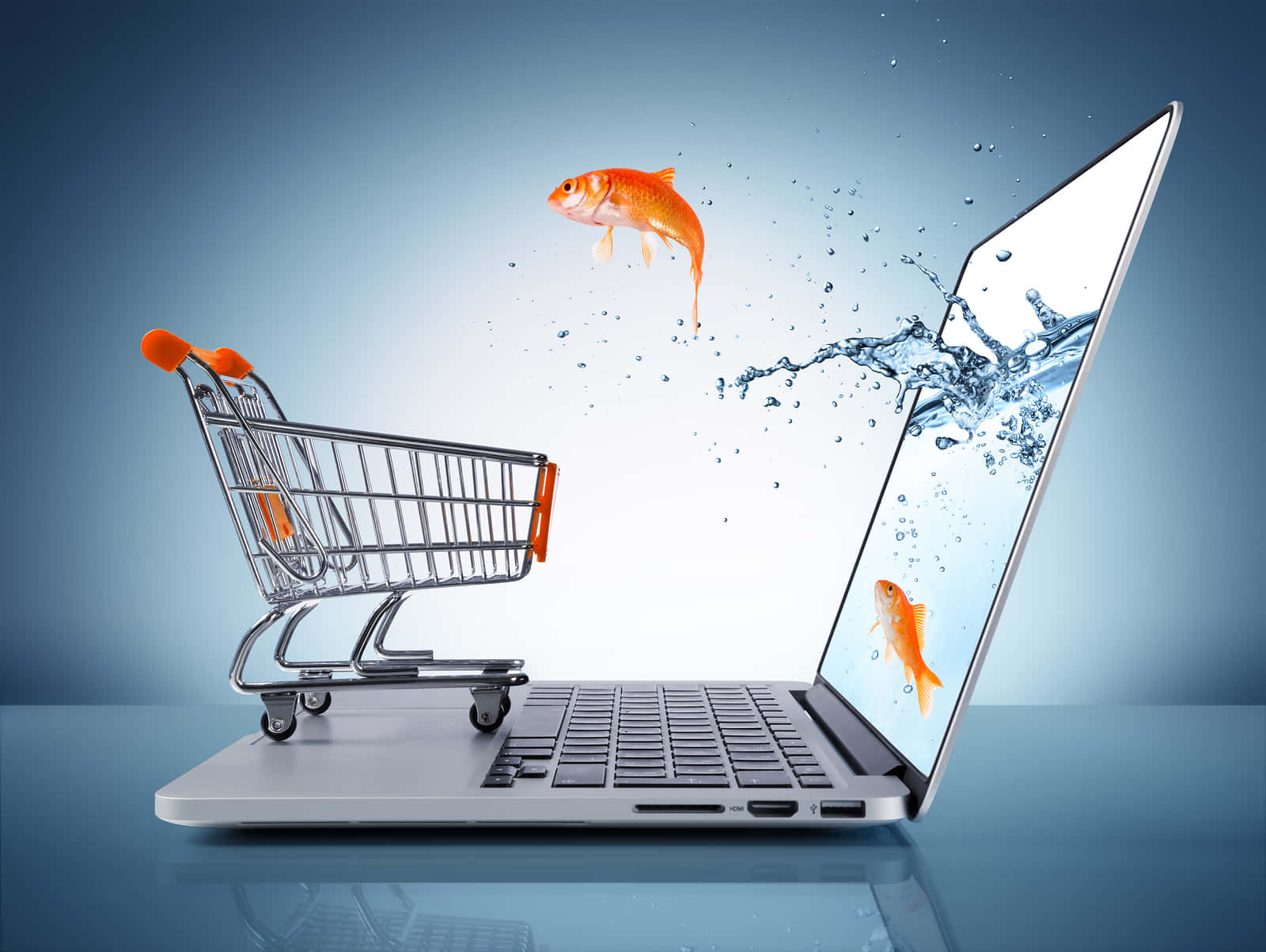 goldfish, laptop screen, shopping cart, HD Desktop Wallpaper