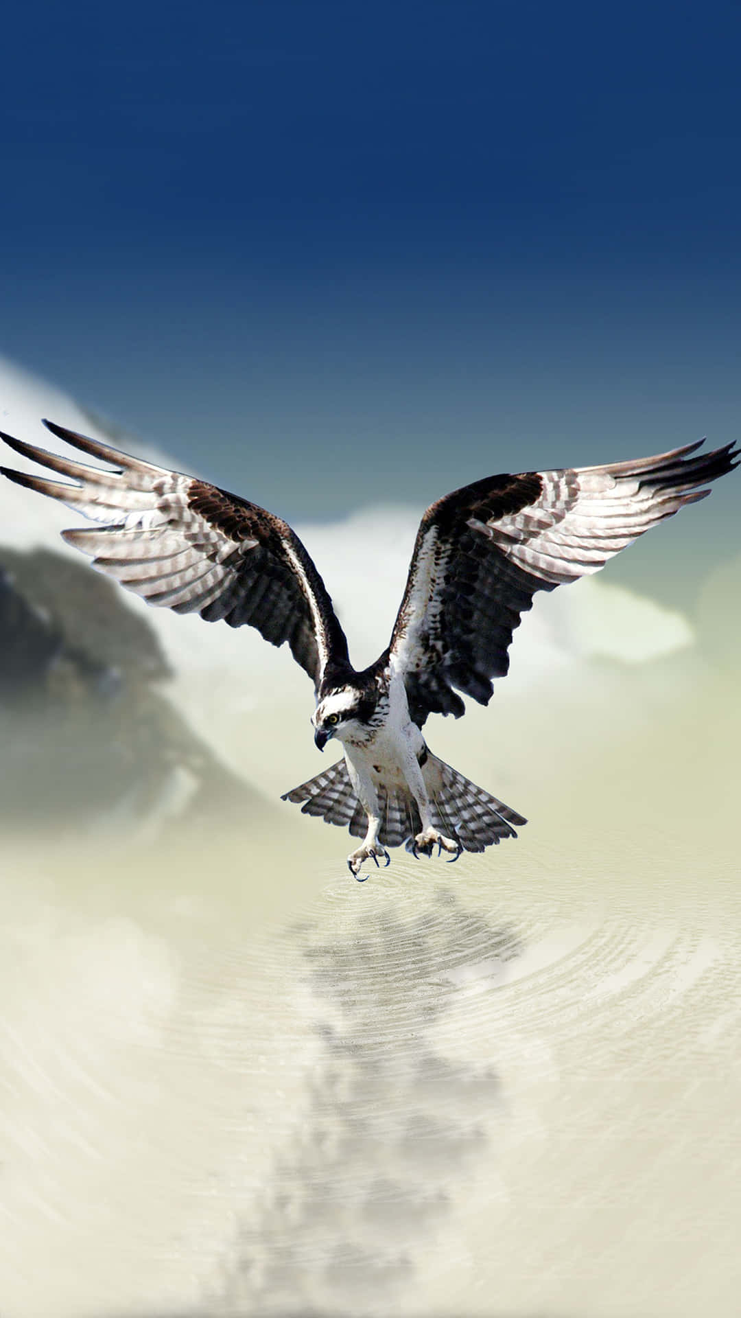 Eagle iPhone, osprey, rippling water, Full HD Phone Wallpaper