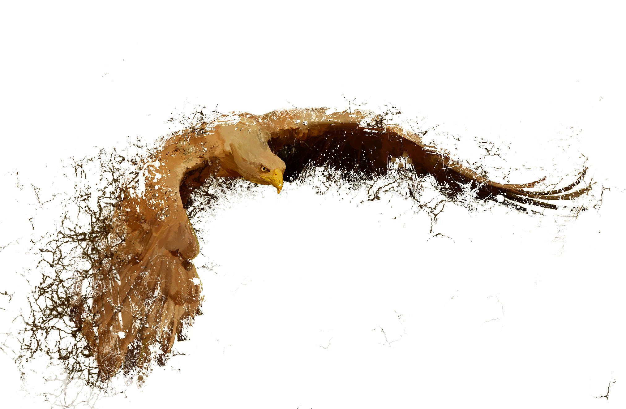 eagle, textured brown, gold tones, Full HD Desktop Wallpaper