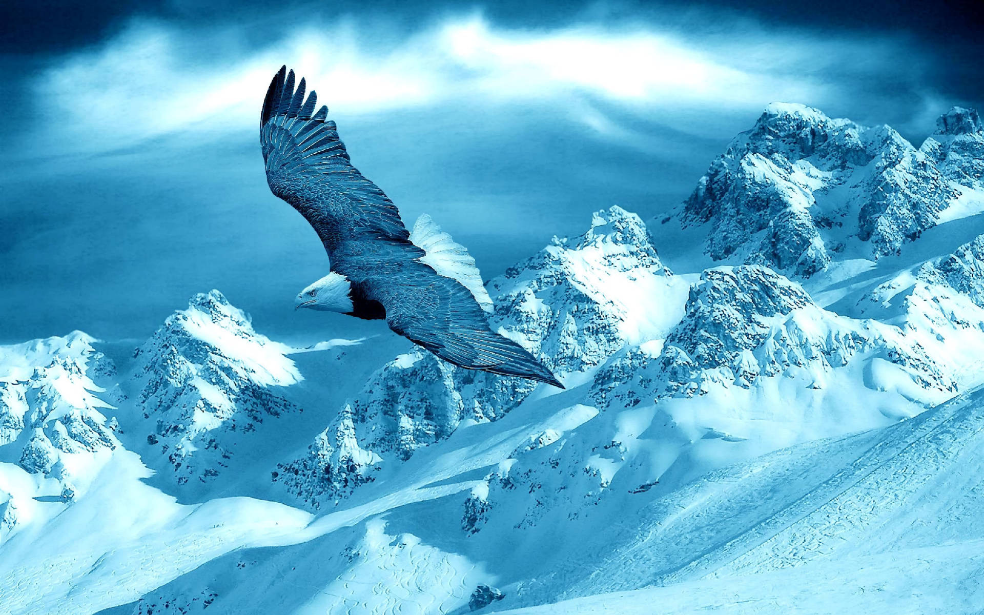 Blue Eagle, eagle, snowcapped mountain range, Full HD Desktop Wallpaper