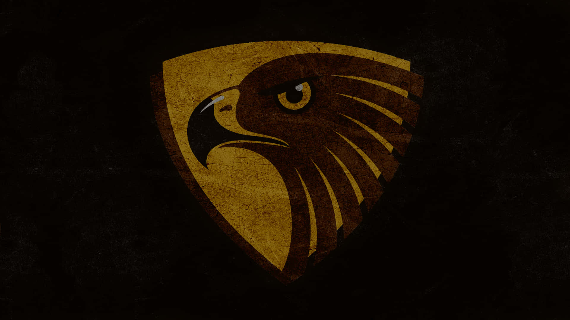 Eagles Football, golden eagle head emblem, weathered texture, Full HD Desktop Wallpaper