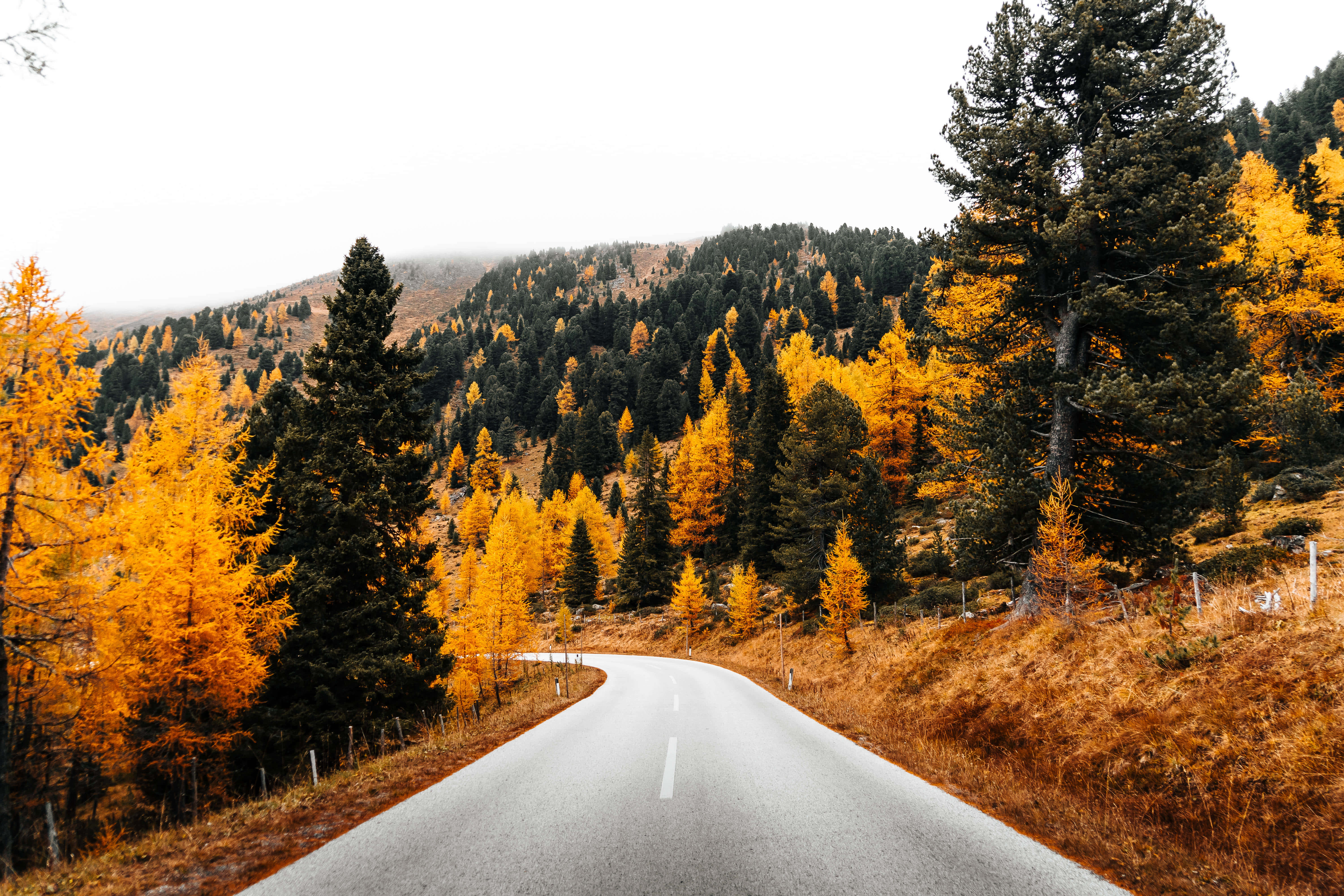 Early Fall, winding road, mountain forest, 5K Desktop Wallpaper