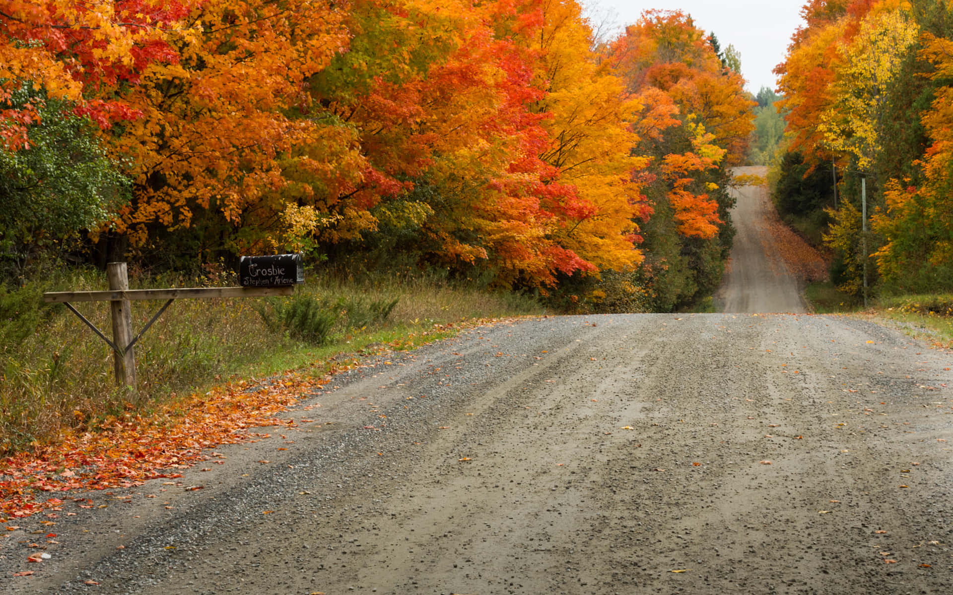Early Fall, gravel road, autumn forest, Full HD Desktop Wallpaper