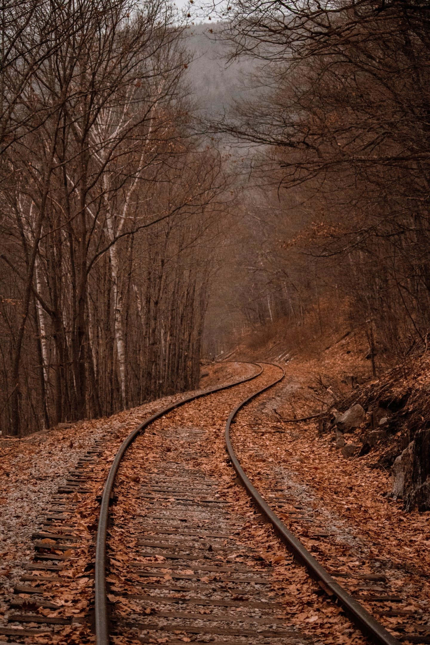 Train Tracks, Early Fall, misty forest, Full HD Phone Wallpaper