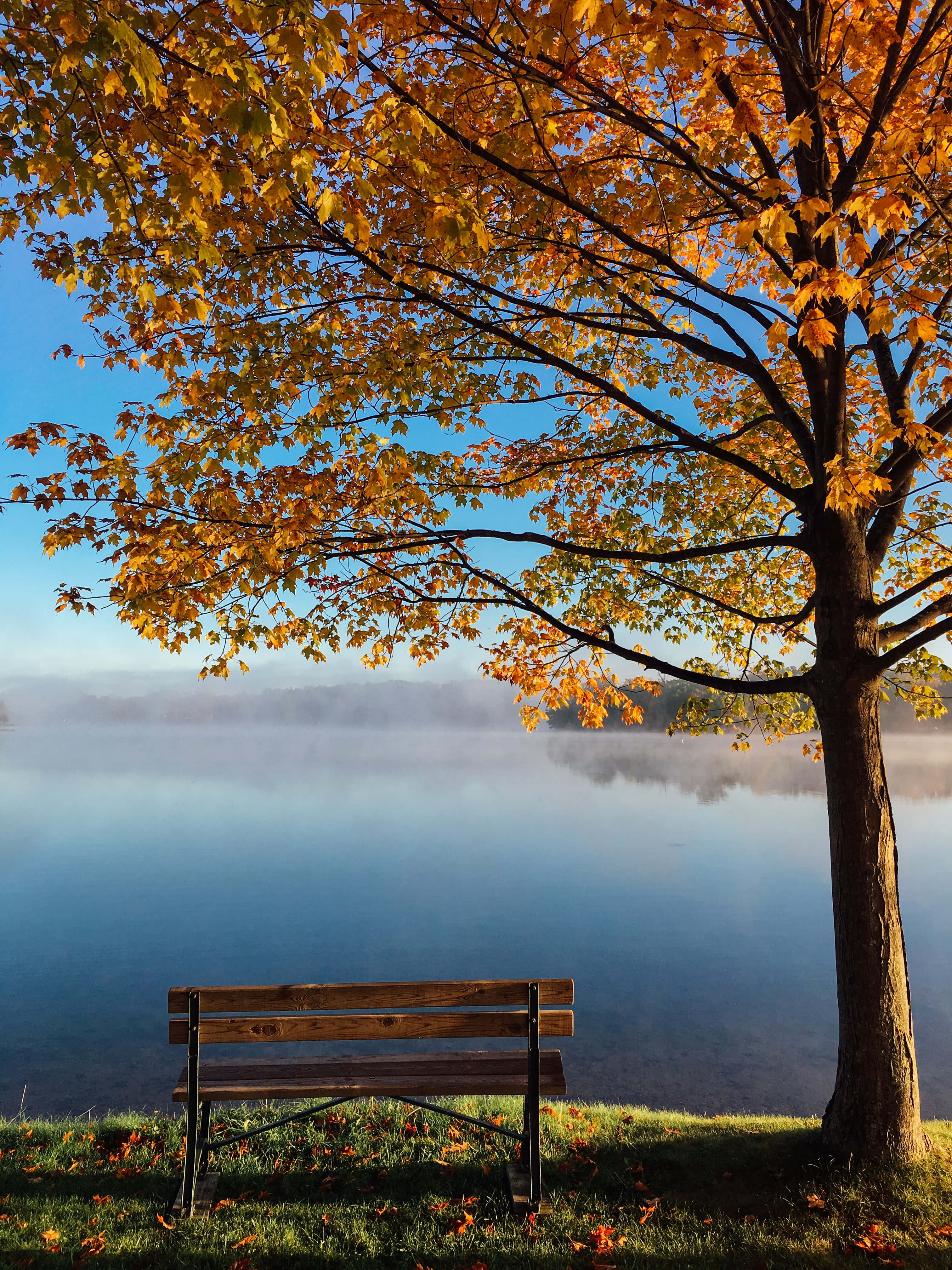early fall, autumn landscape, bridge, 4K Phone Wallpaper