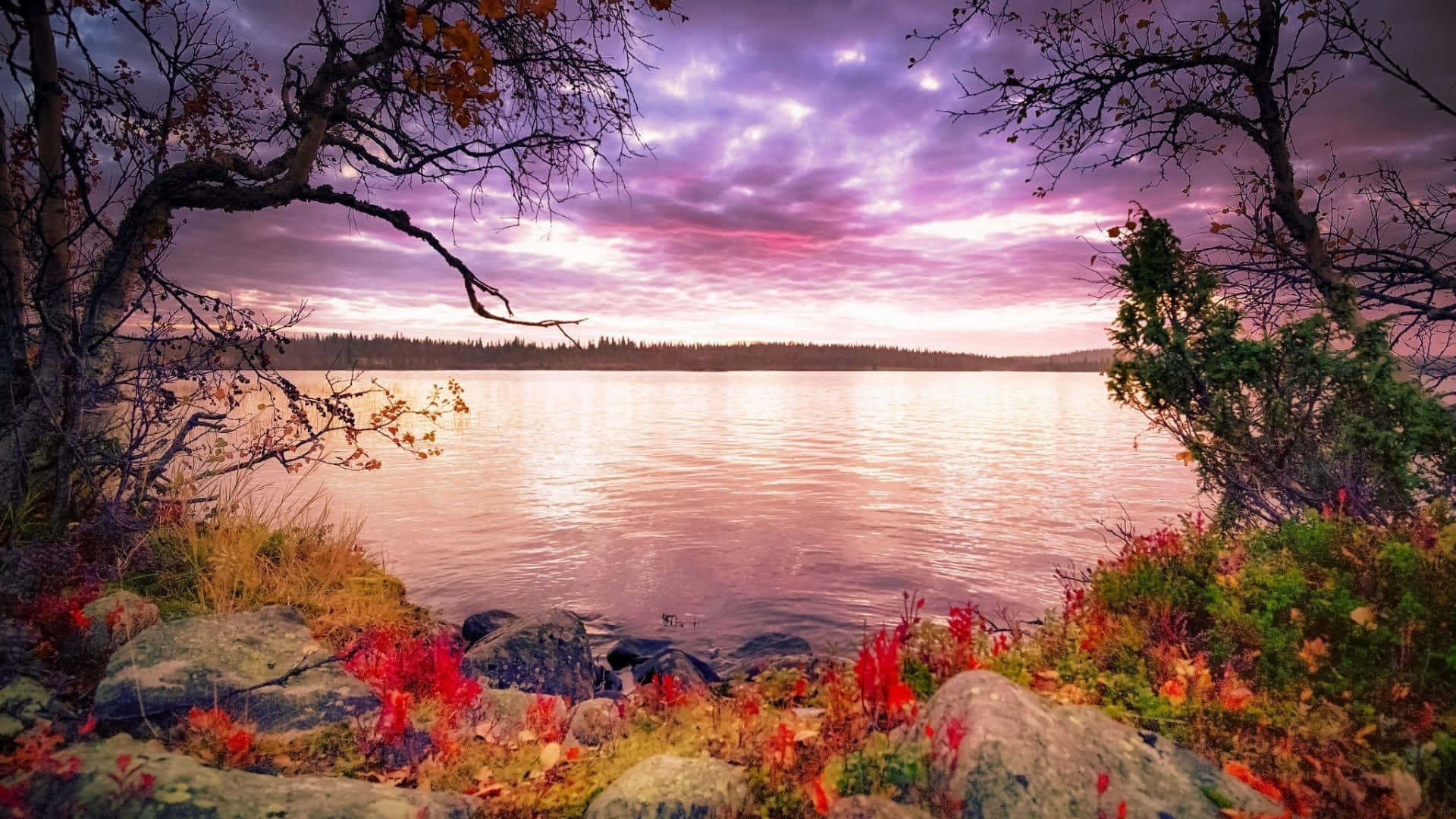 Early Fall, sunset, lake, Full HD Desktop Wallpaper