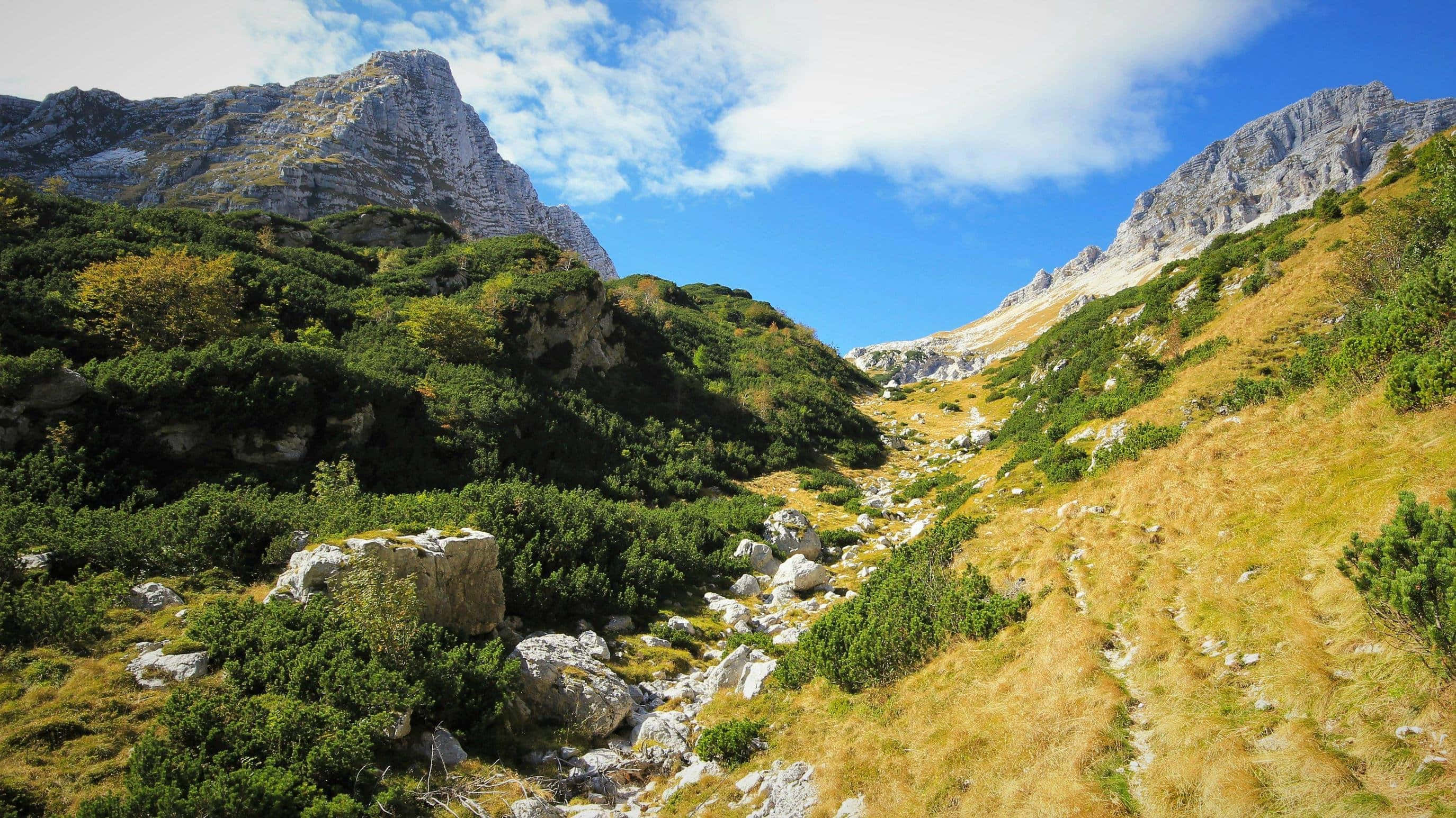 Early Fall, mountain valley, rocky slopes, 2K Desktop Wallpaper