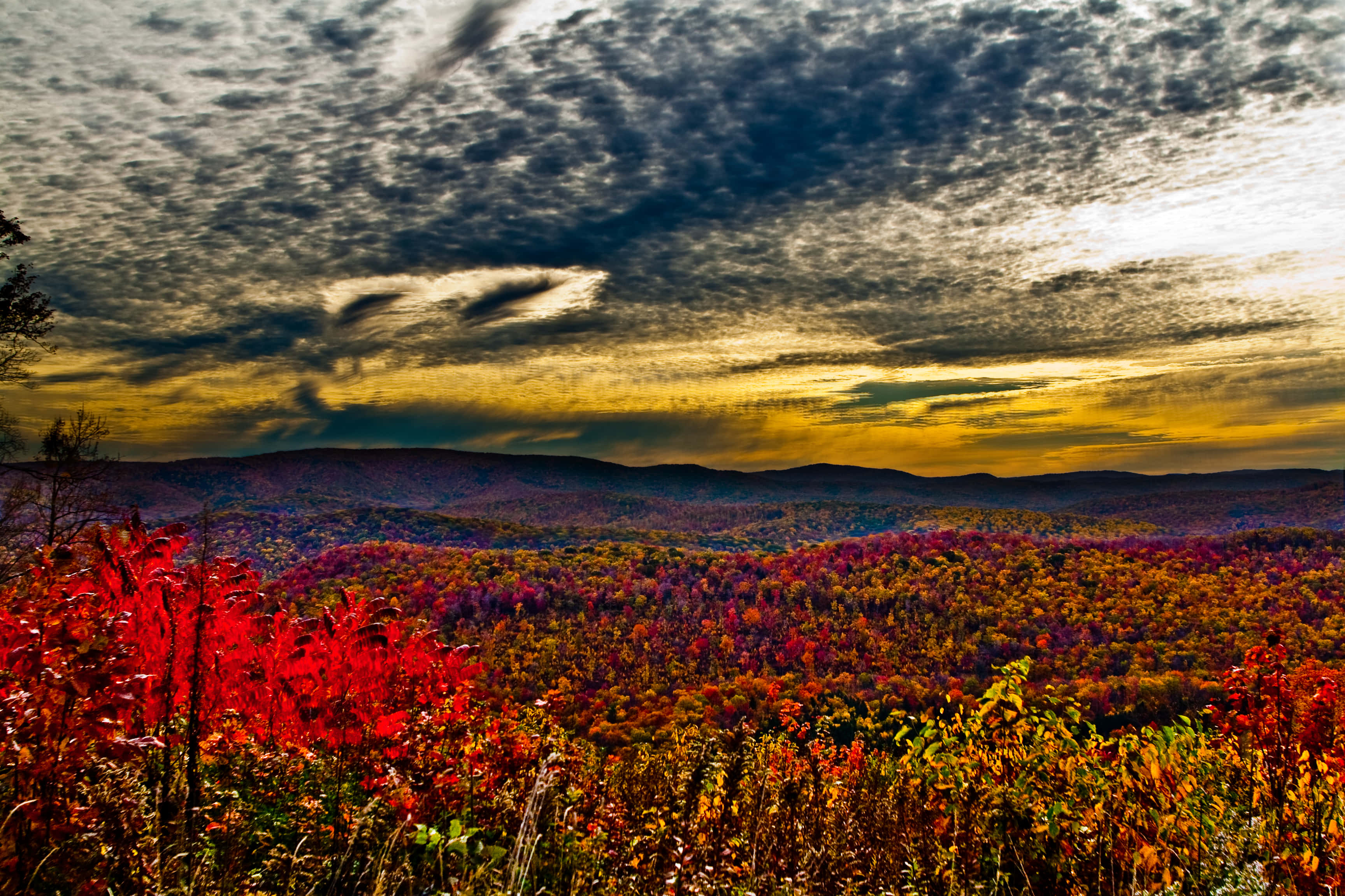 Early Fall, autumn forest, rolling hills, 2K Desktop Wallpaper