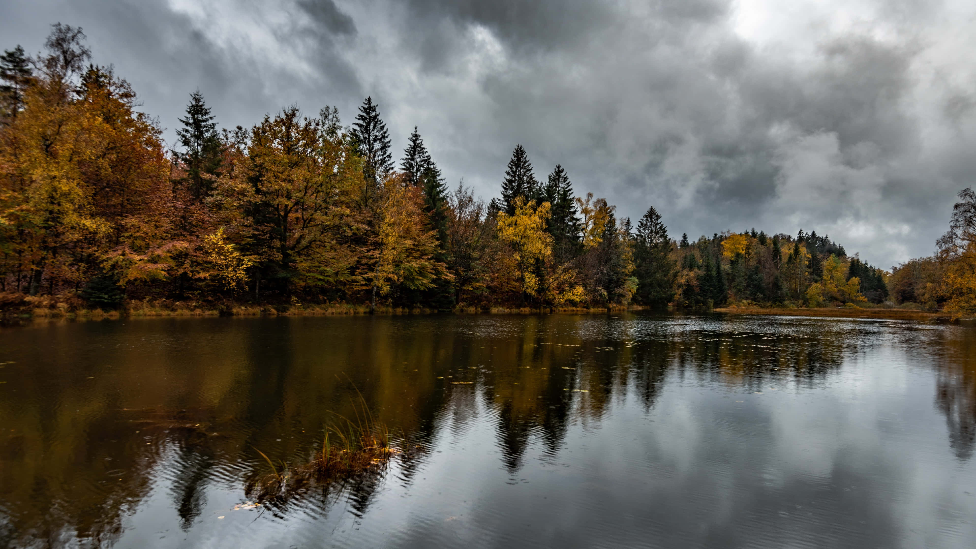 Early Fall, lake, autumn, 4K Desktop Wallpaper