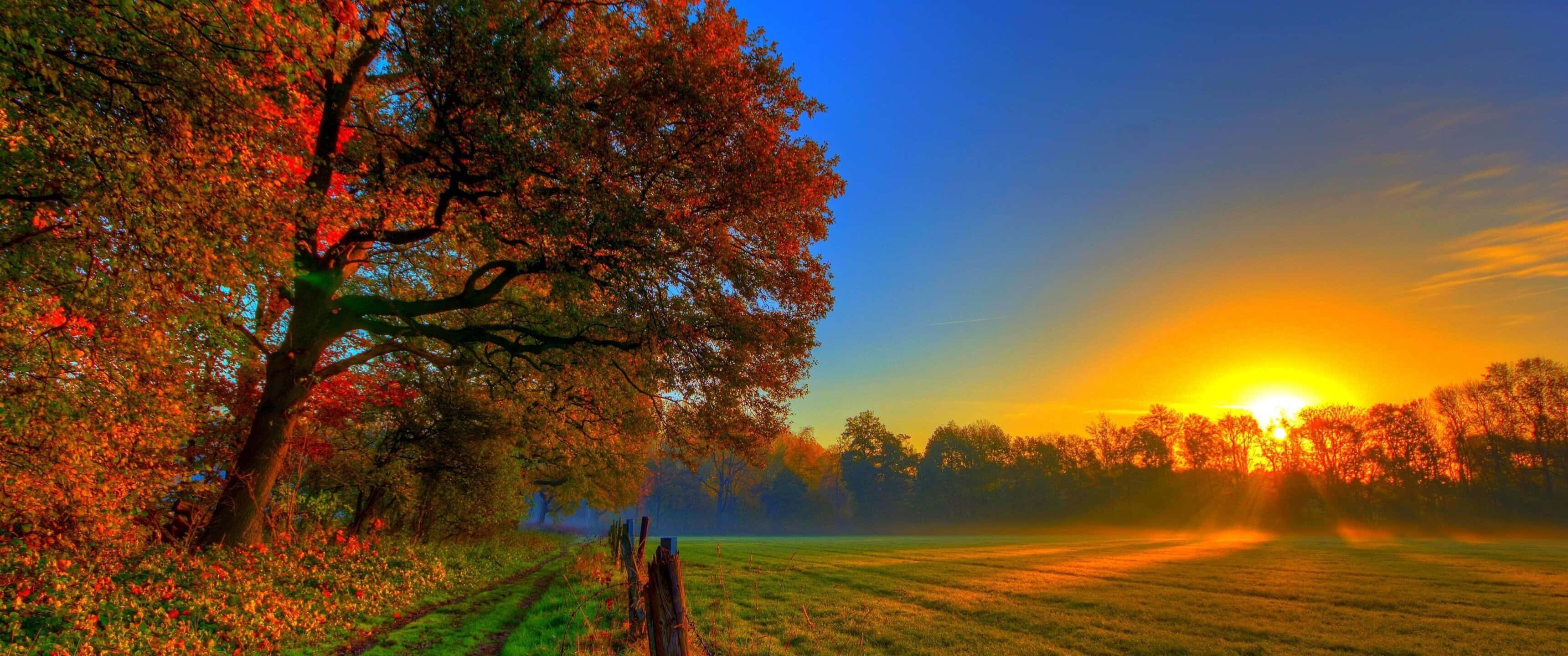 3440x1440, autumn sunrise, misty field, 2K Desktop Wallpaper