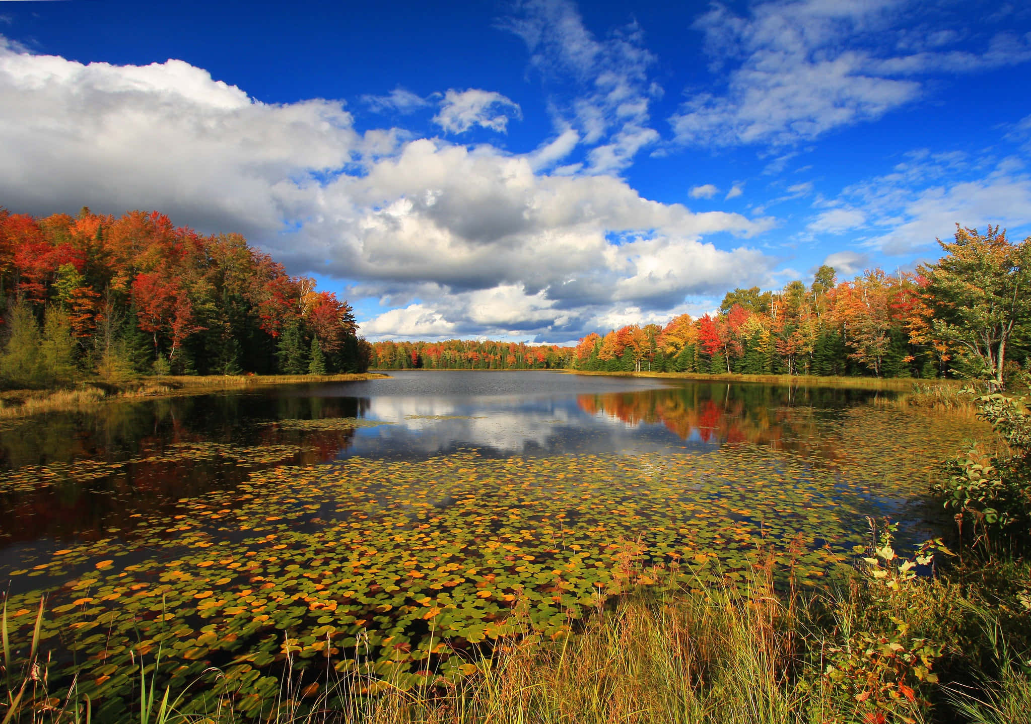 Early Fall, blue sky, autumn lake, Full HD Desktop Wallpaper