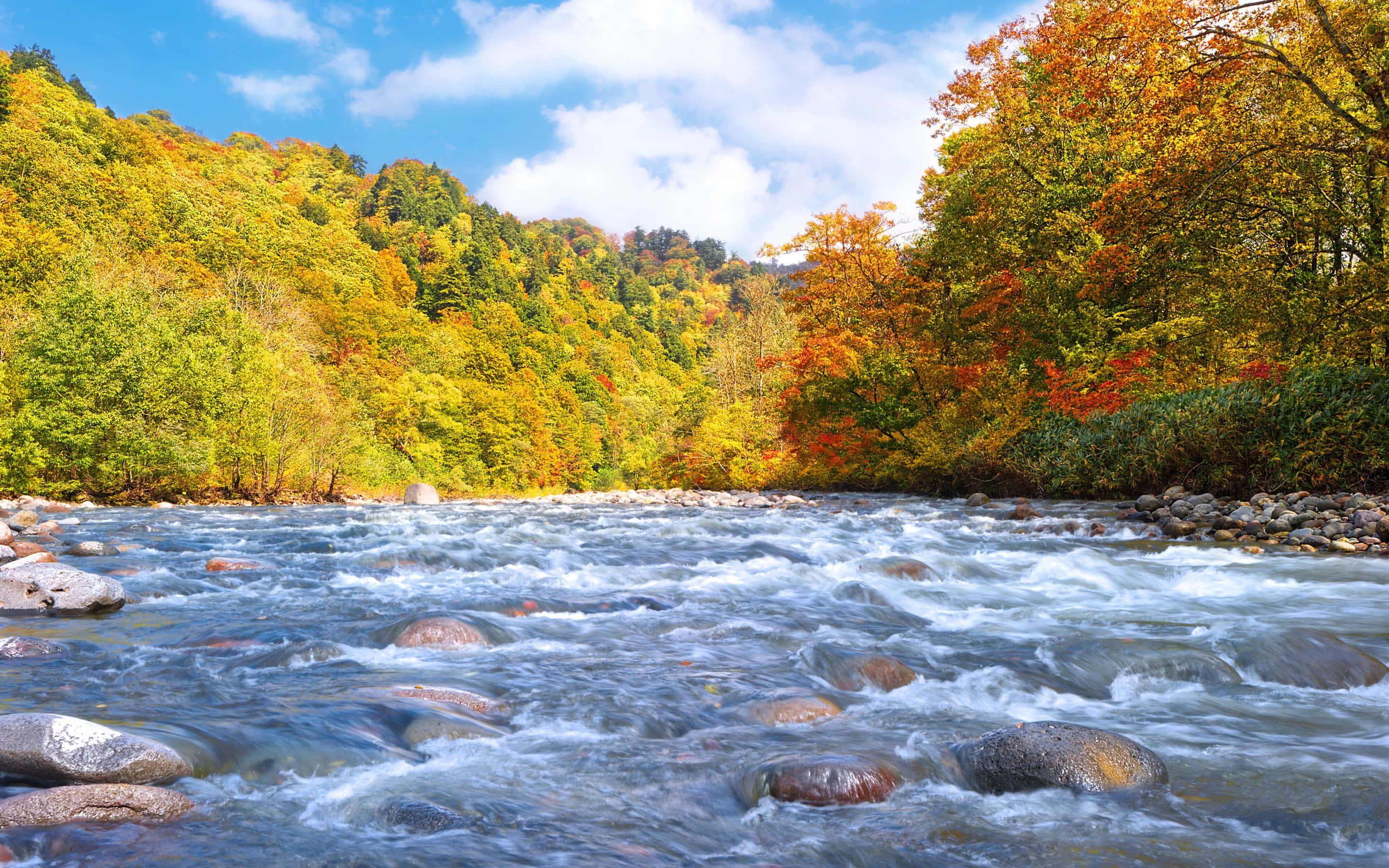 Early Fall, mountains, autumn forest, 2K Desktop Wallpaper