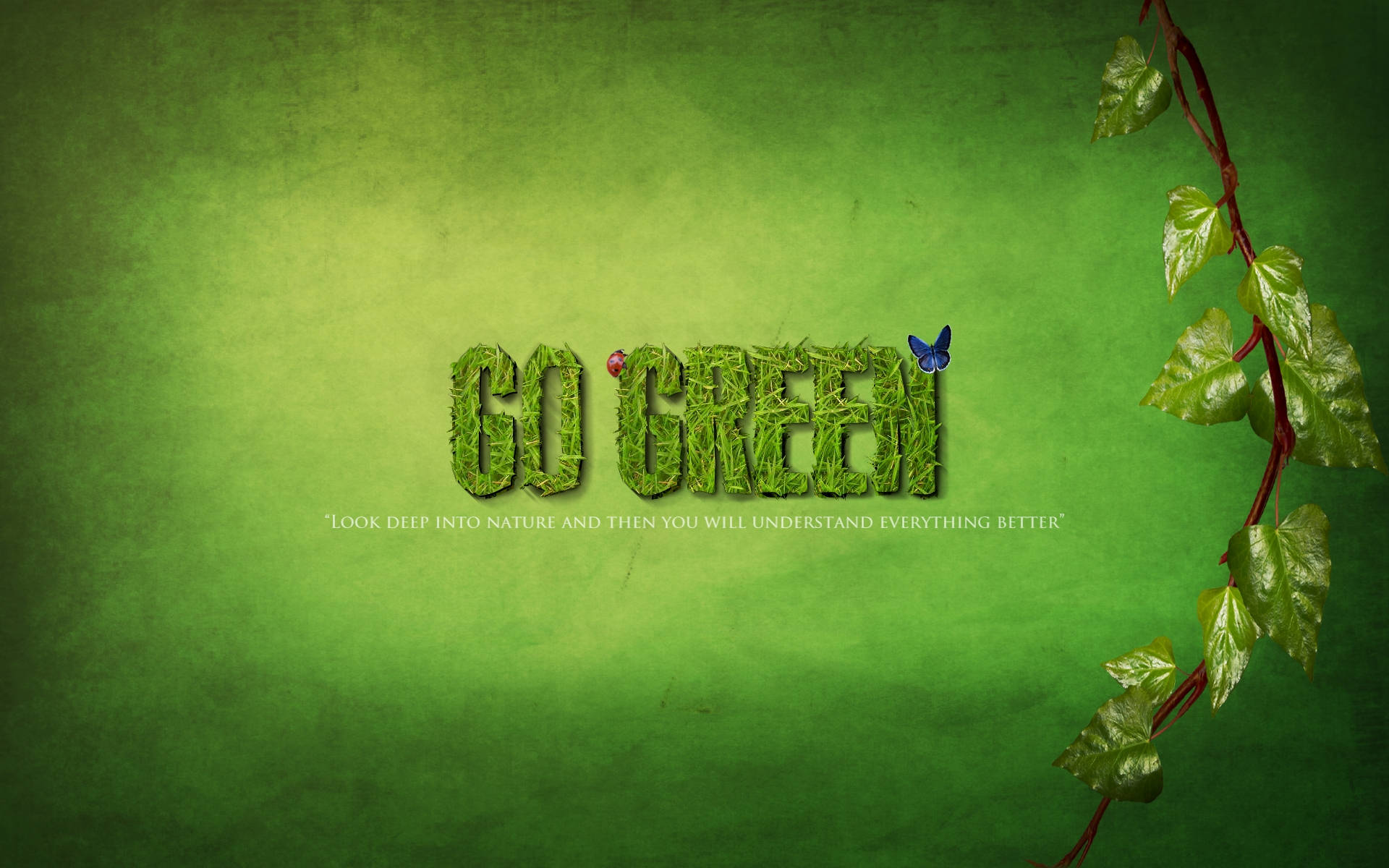 GO GREEN, grass, ladybug, Full HD Desktop Wallpaper
