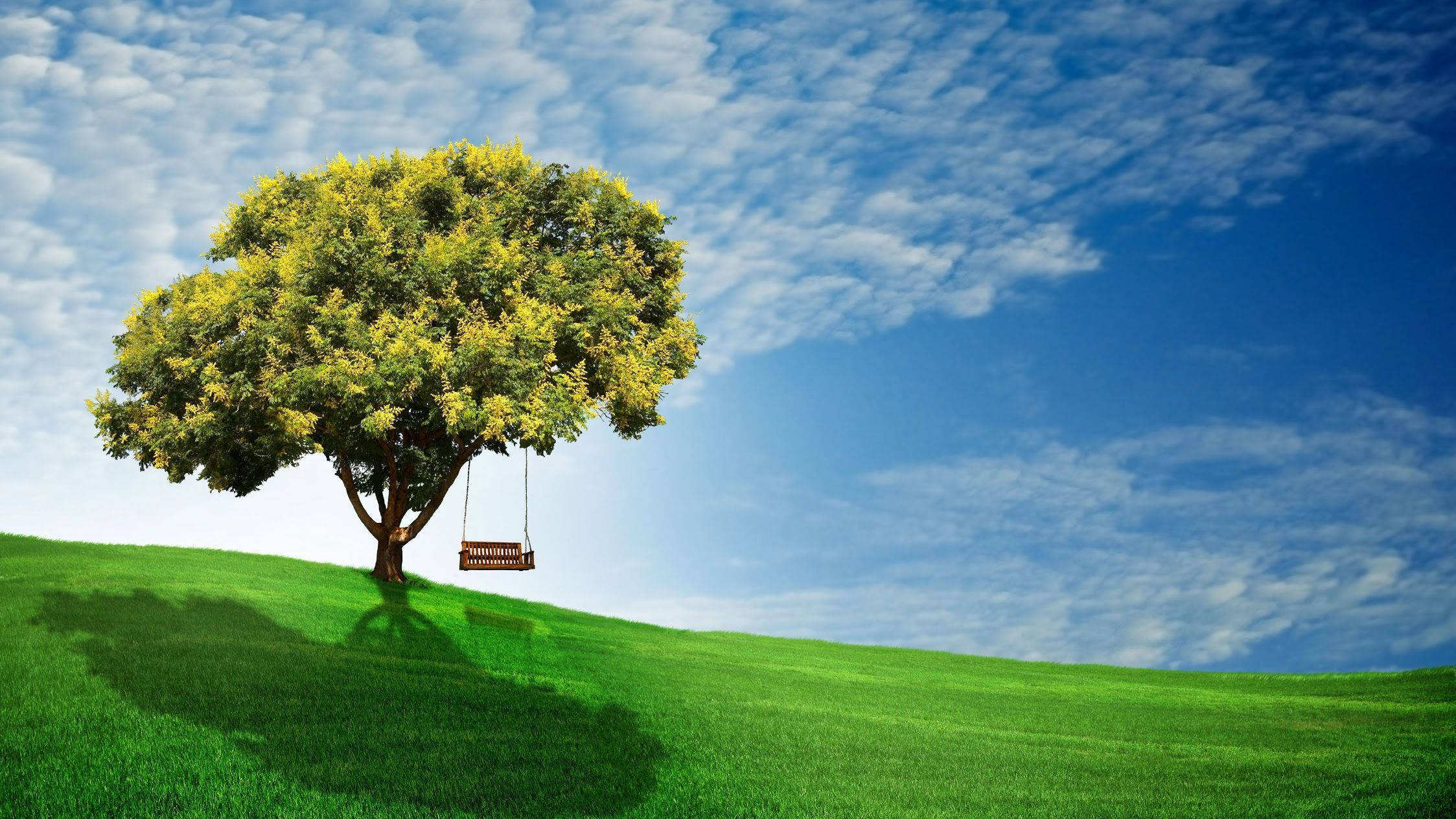 Earth Day, tree swing, vibrant green hill, Full HD Desktop Wallpaper