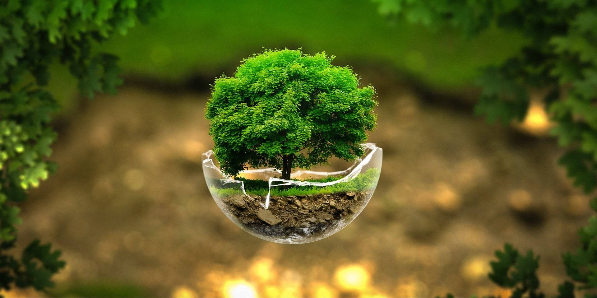 Earth Day, broken sphere, lush green tree, Full HD Desktop Wallpaper