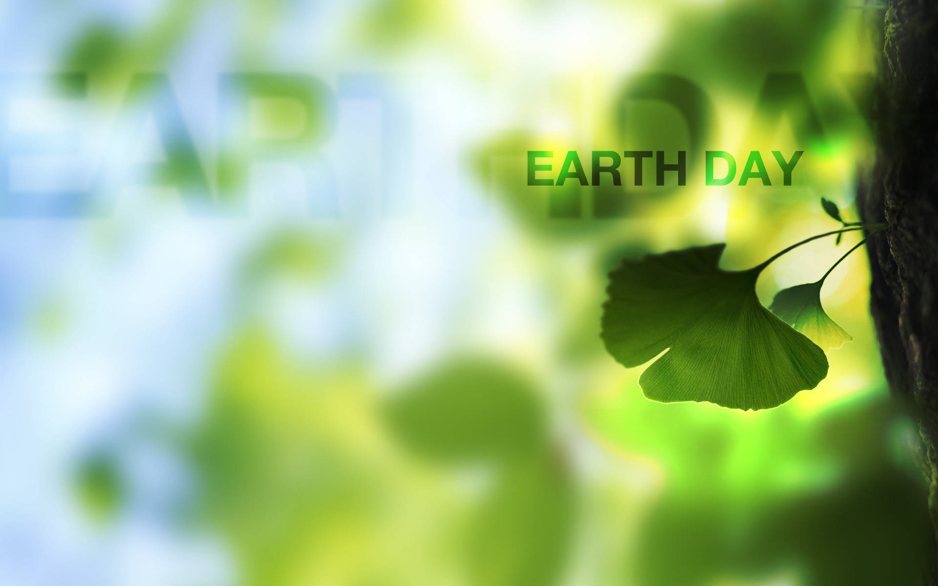 Earth Day, ginkgo leaf, tree trunk, Full HD Desktop Wallpaper