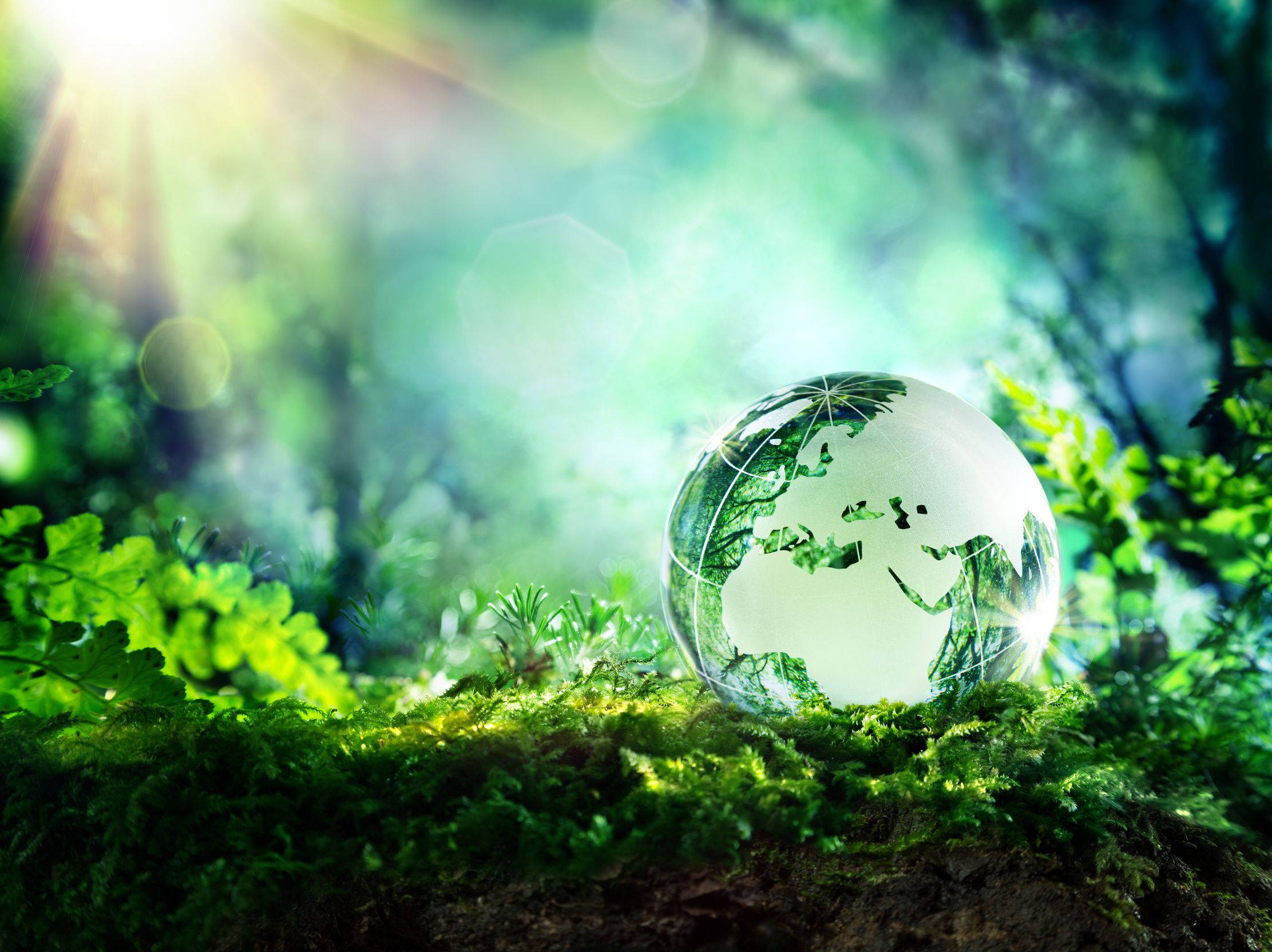 Earth Day, clear globe, glass globe, Full HD Desktop Wallpaper