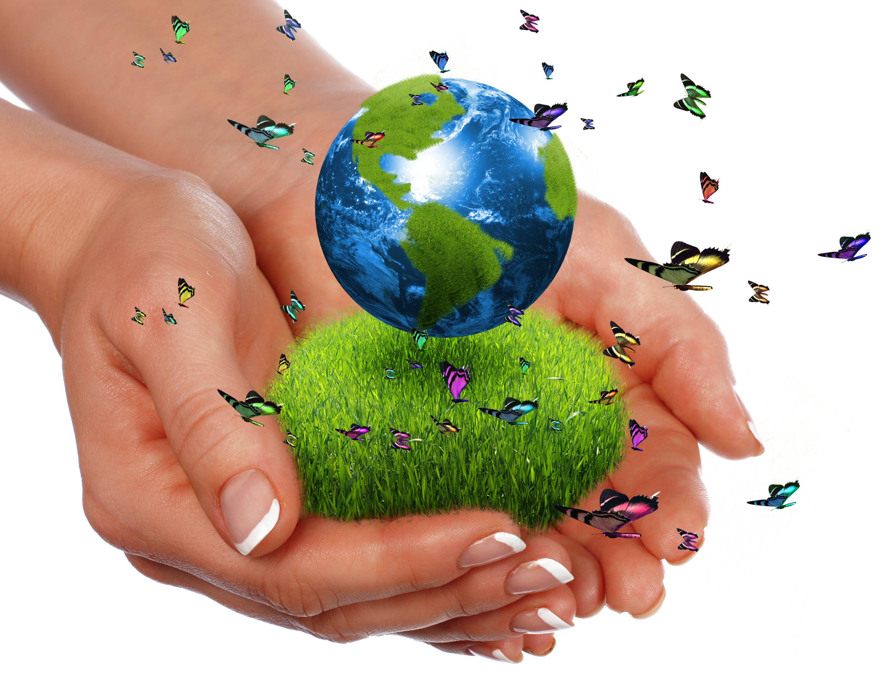 Earth Day, butterflies, globe, 2K Desktop Wallpaper