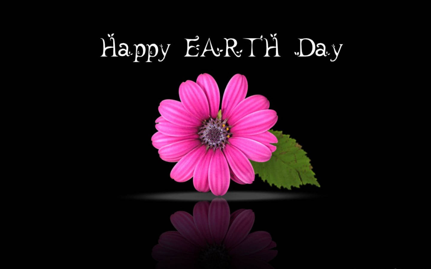 Happy Earth Day, pink flower, green leaf, HD Desktop Wallpaper
