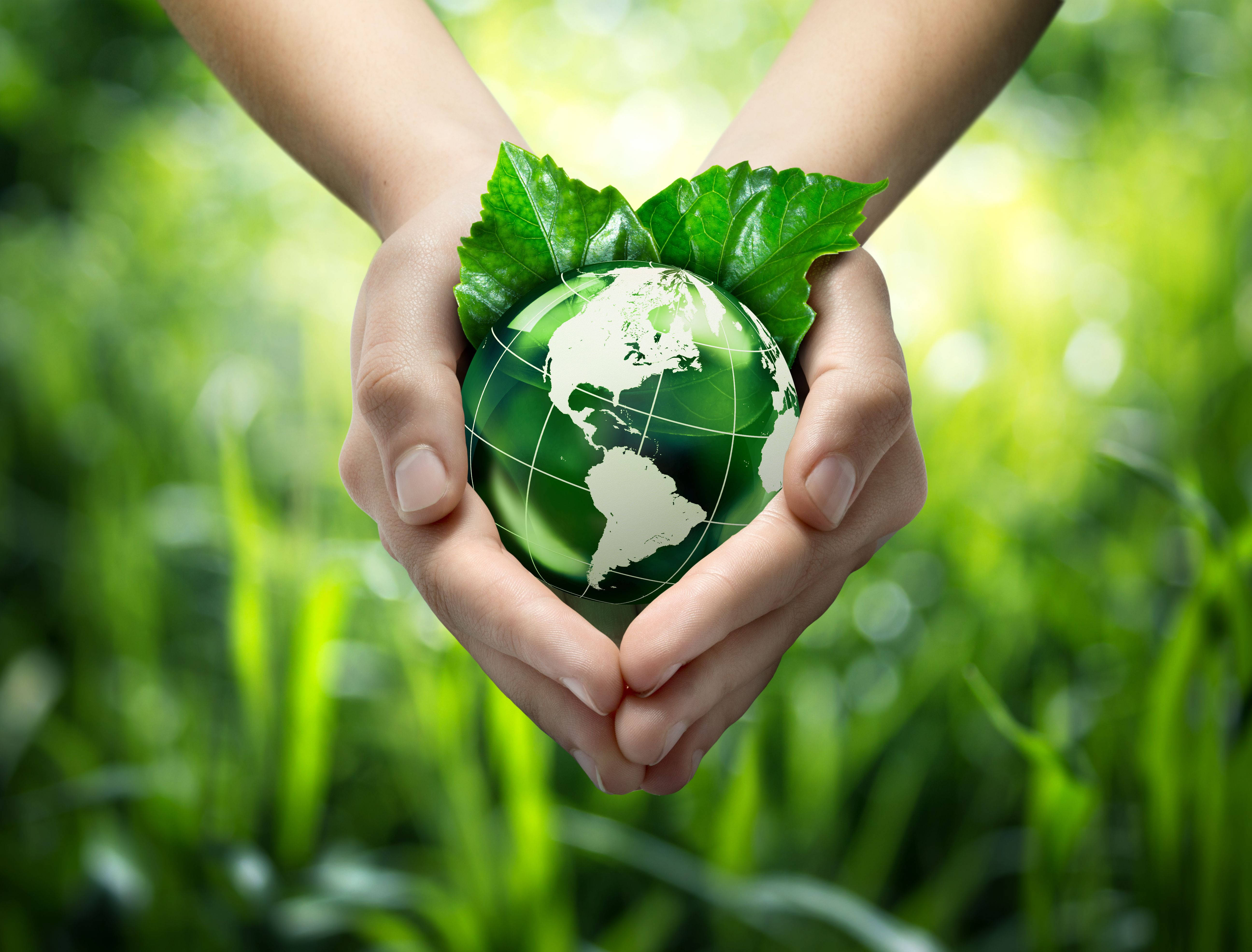 Earth Day, green globe, leaves, 5K Desktop Wallpaper