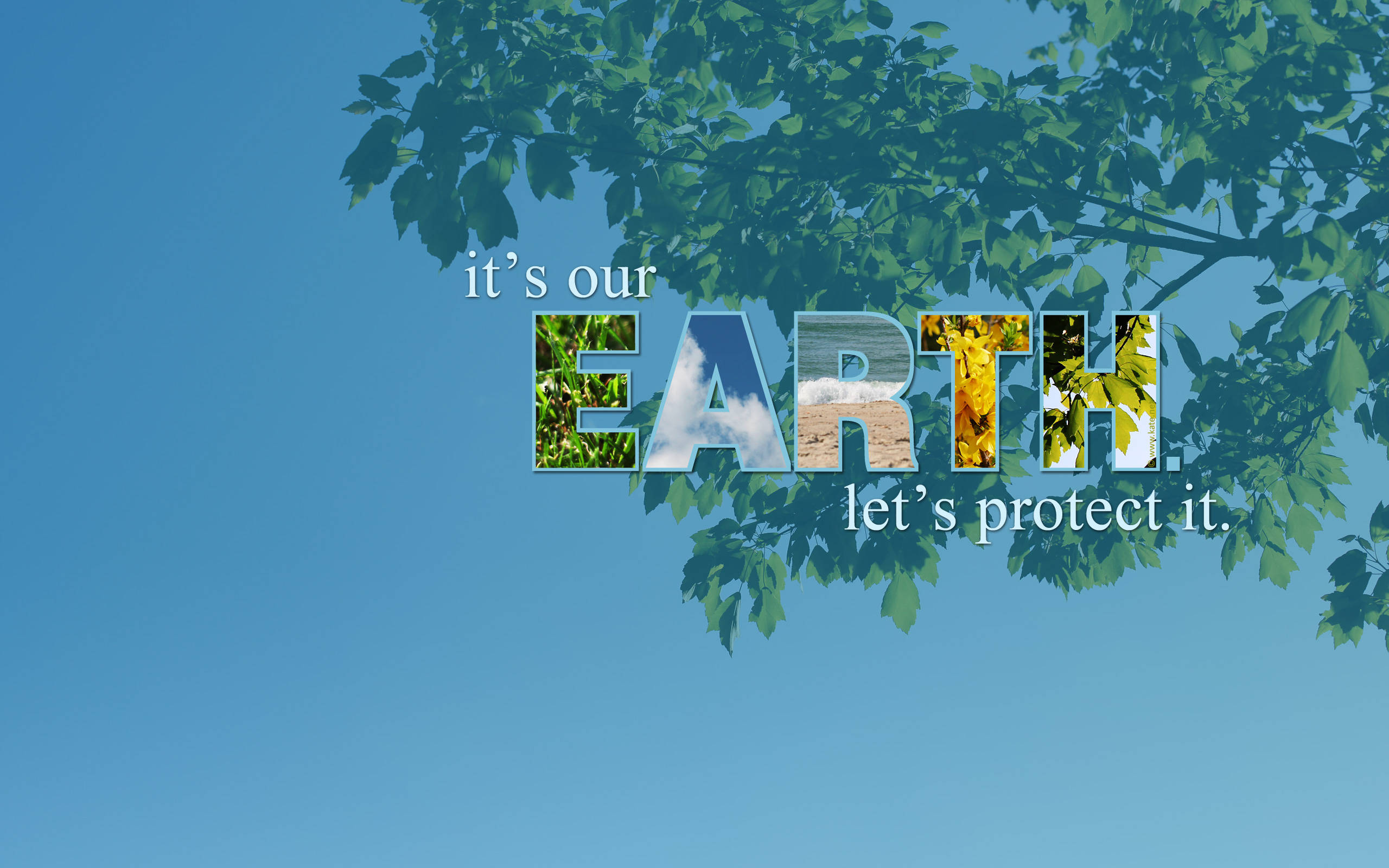 Earth Day, blue sky, tree branches, 2K Desktop Wallpaper