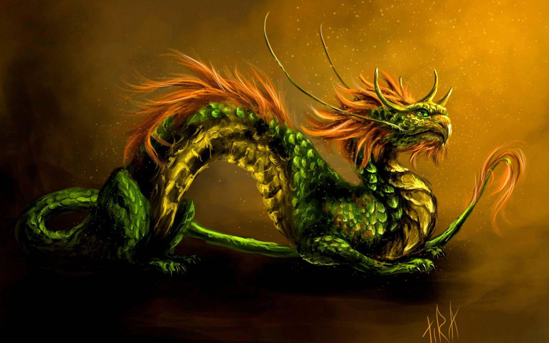 green dragon, fiery orange mane, fiery orange tail, Full HD Desktop Wallpaper