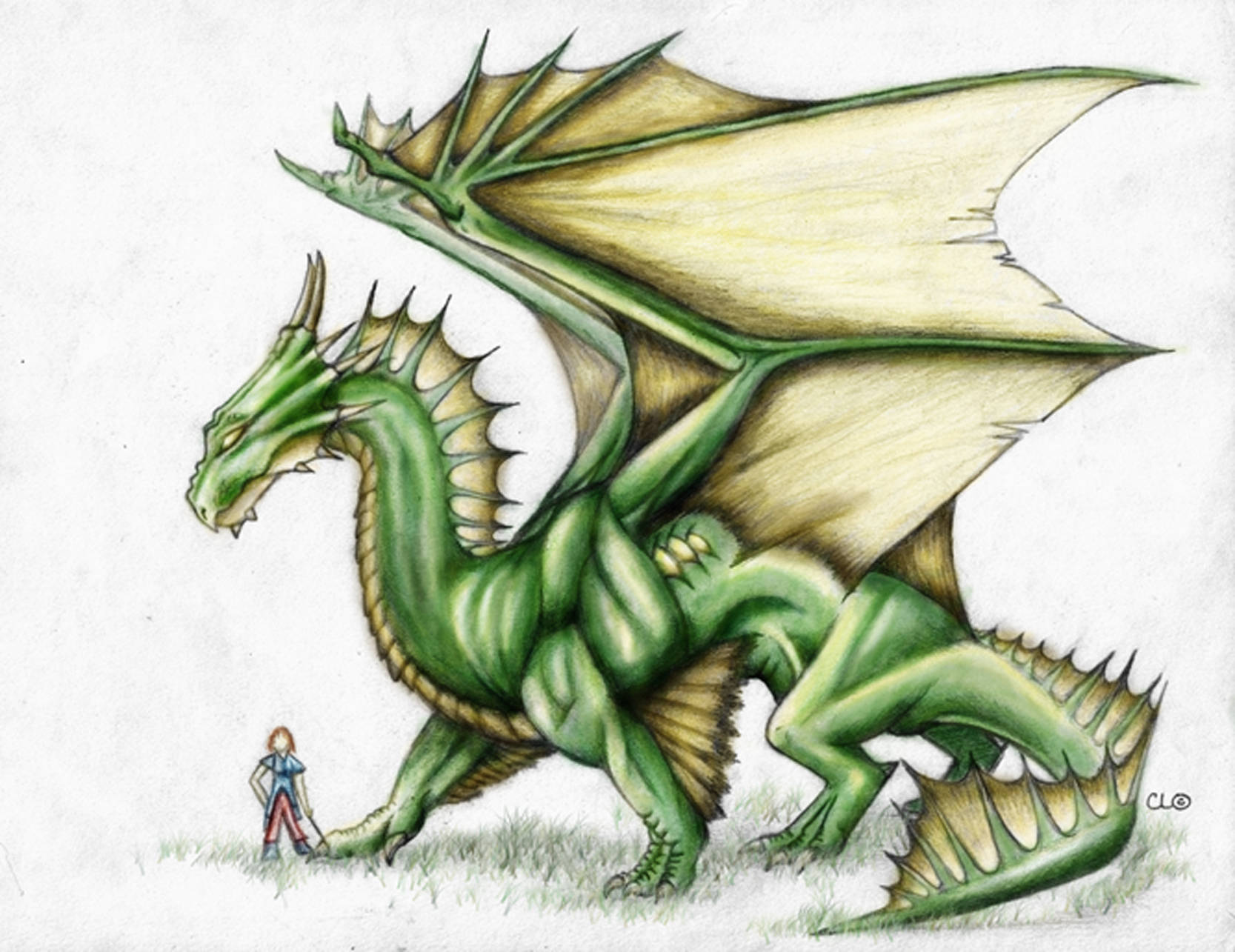 Green Earth Dragon, membranous wings, grass, HD Desktop Wallpaper