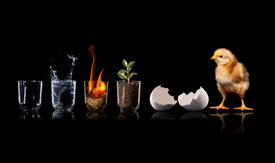 Life On Earth Beginning, water splash, fire flame, SD Desktop Wallpaper