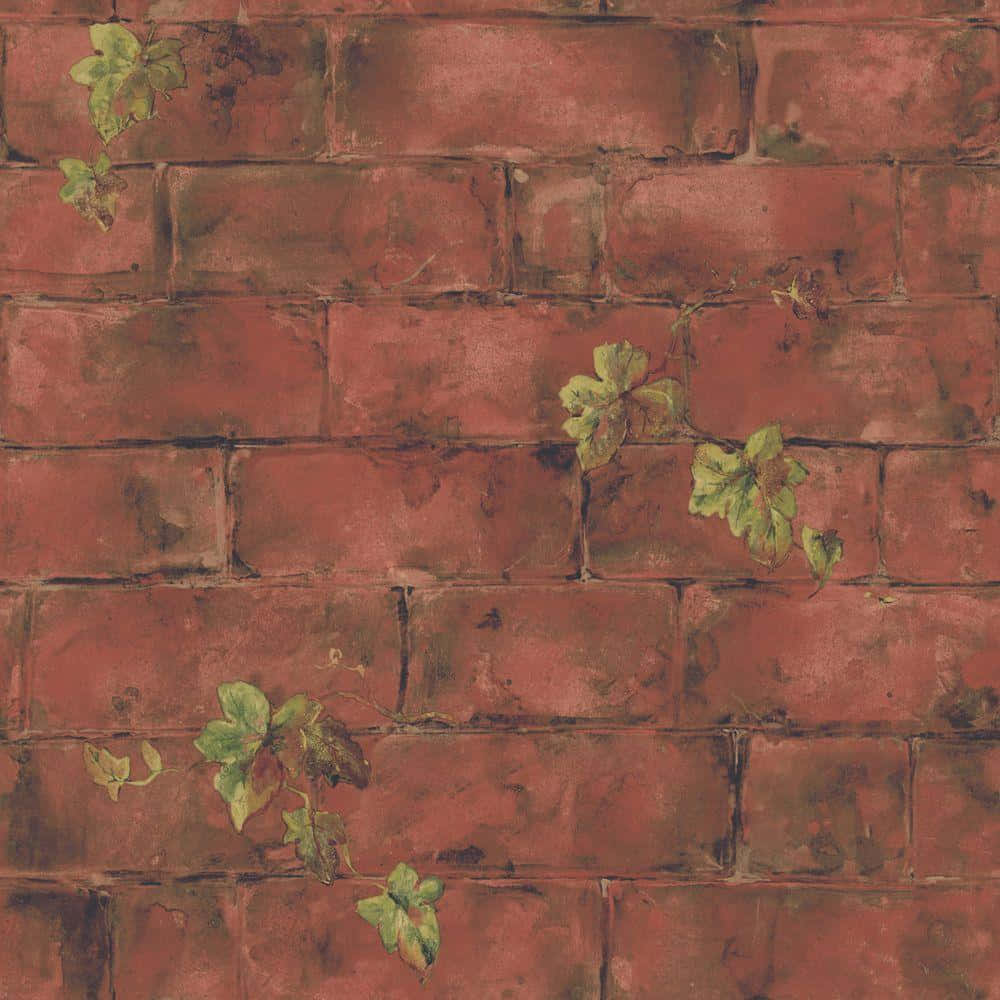 red brick wall, green ivy leaves, textured surface, SD Desktop Wallpaper