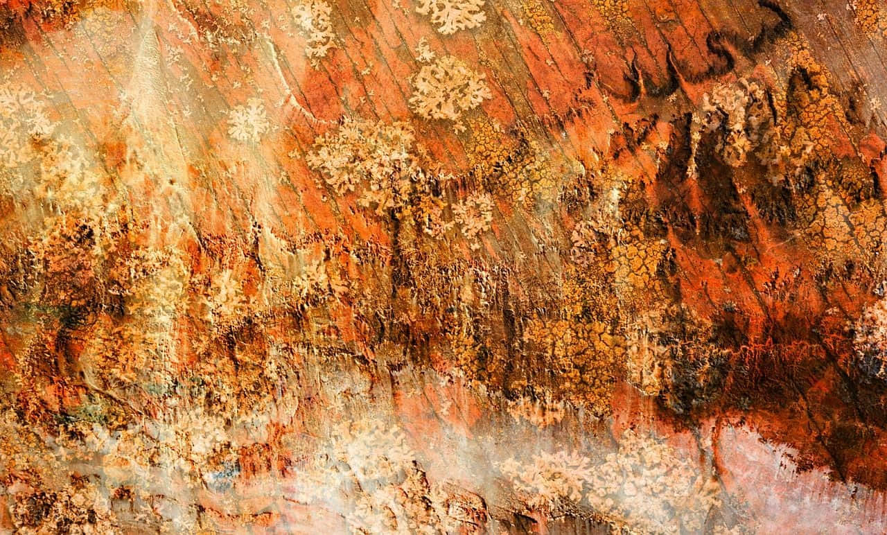 Earth Tones, rust orange, ochre, HD Desktop Wallpaper