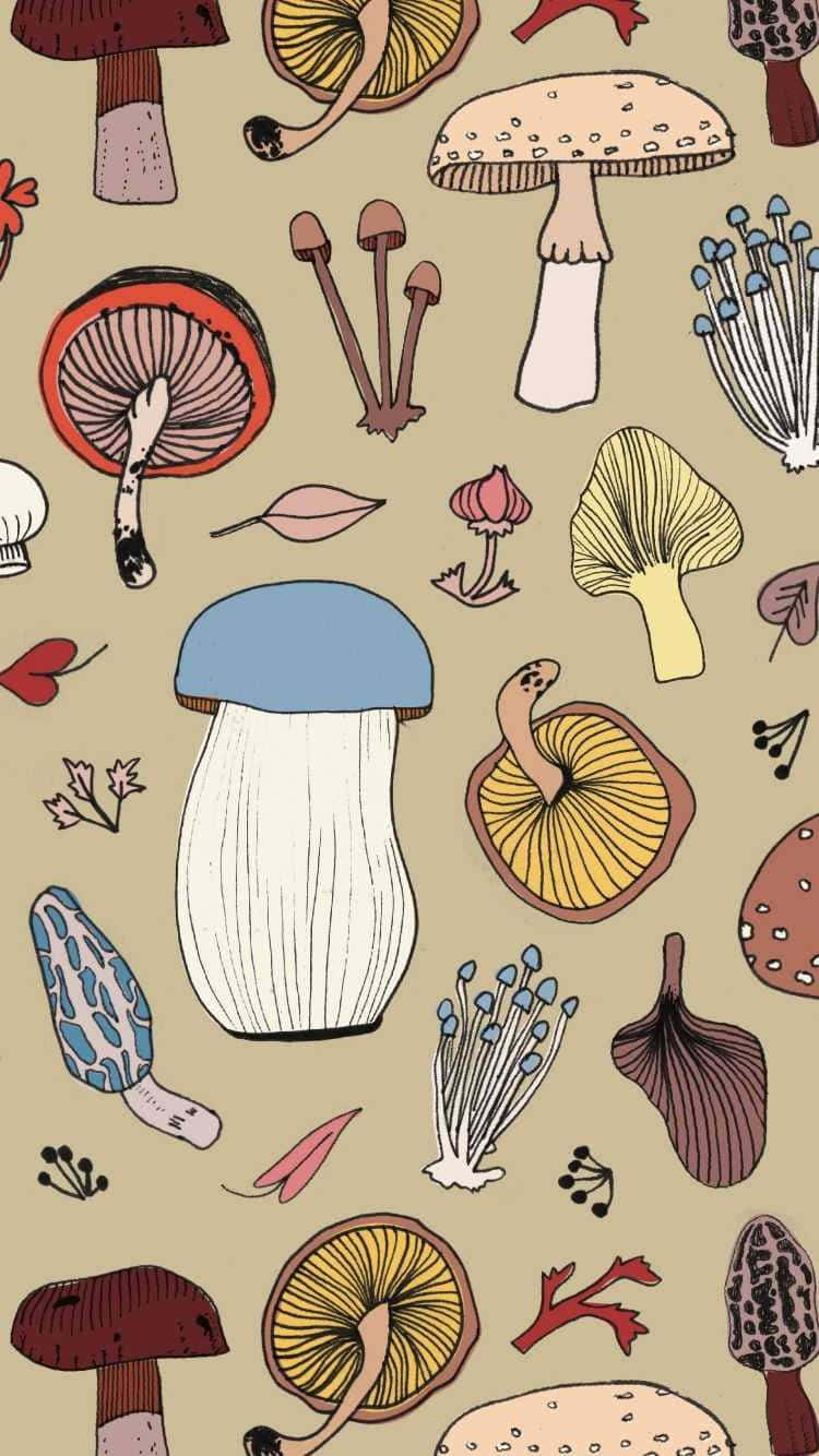mushroom variety pattern, earthy aesthetic, beige background, HD Phone Wallpaper