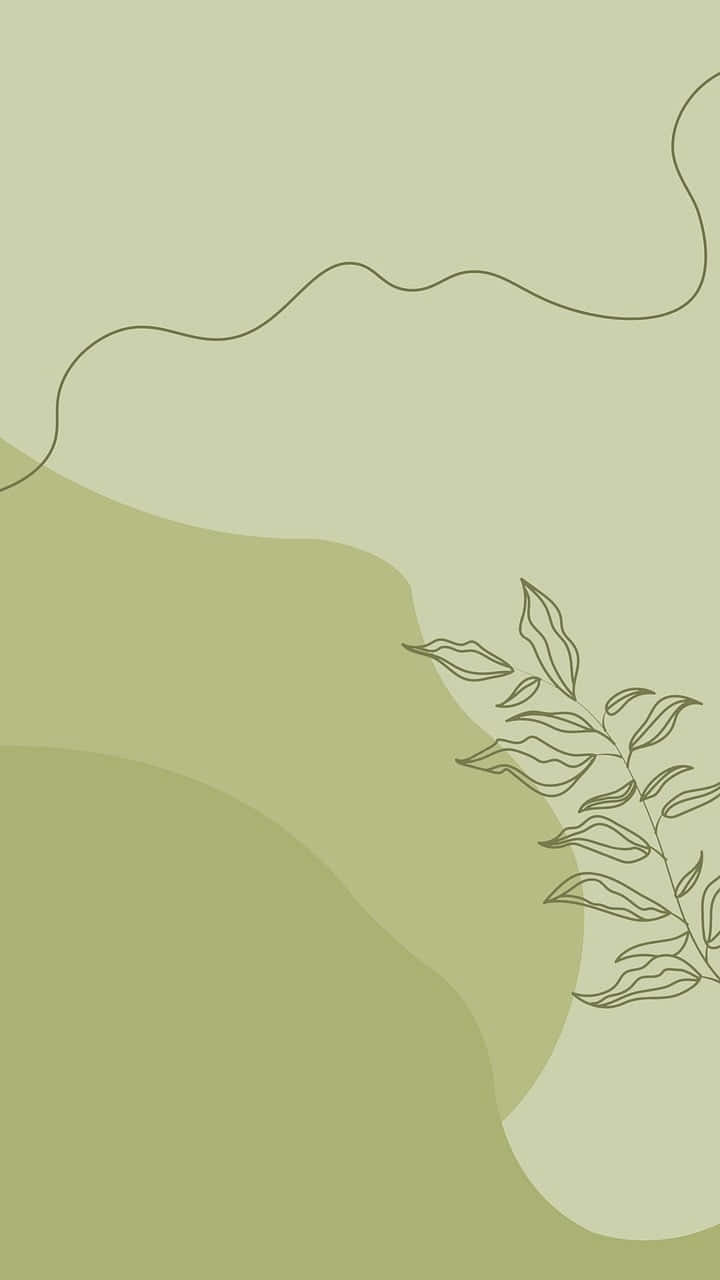 soft sage green gradients, delicate line-drawn leaf branch, minimalist abstract wallpaper, HD Phone Wallpaper