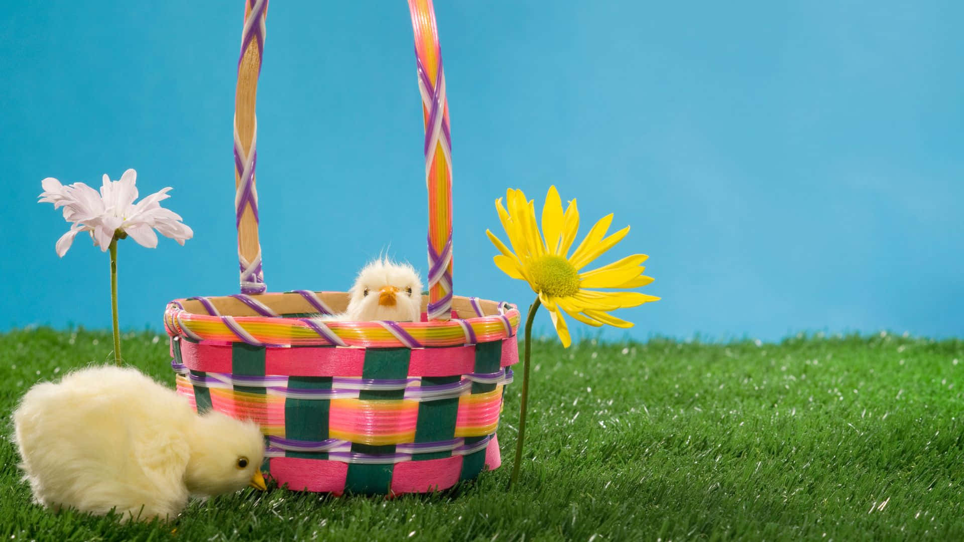 Easter Basket, chicks, flowers, Full HD Desktop Wallpaper