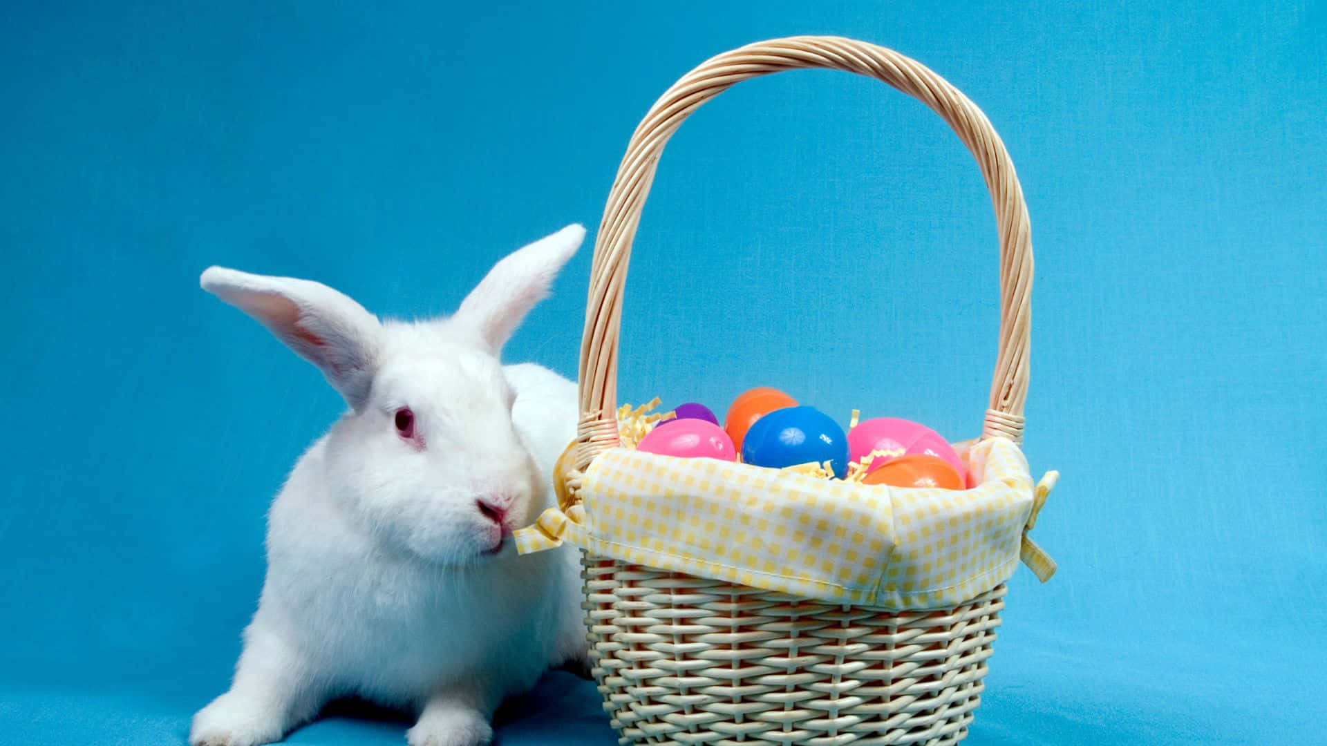 Easter basket, fluffy white rabbit, wicker basket, Full HD Desktop Wallpaper