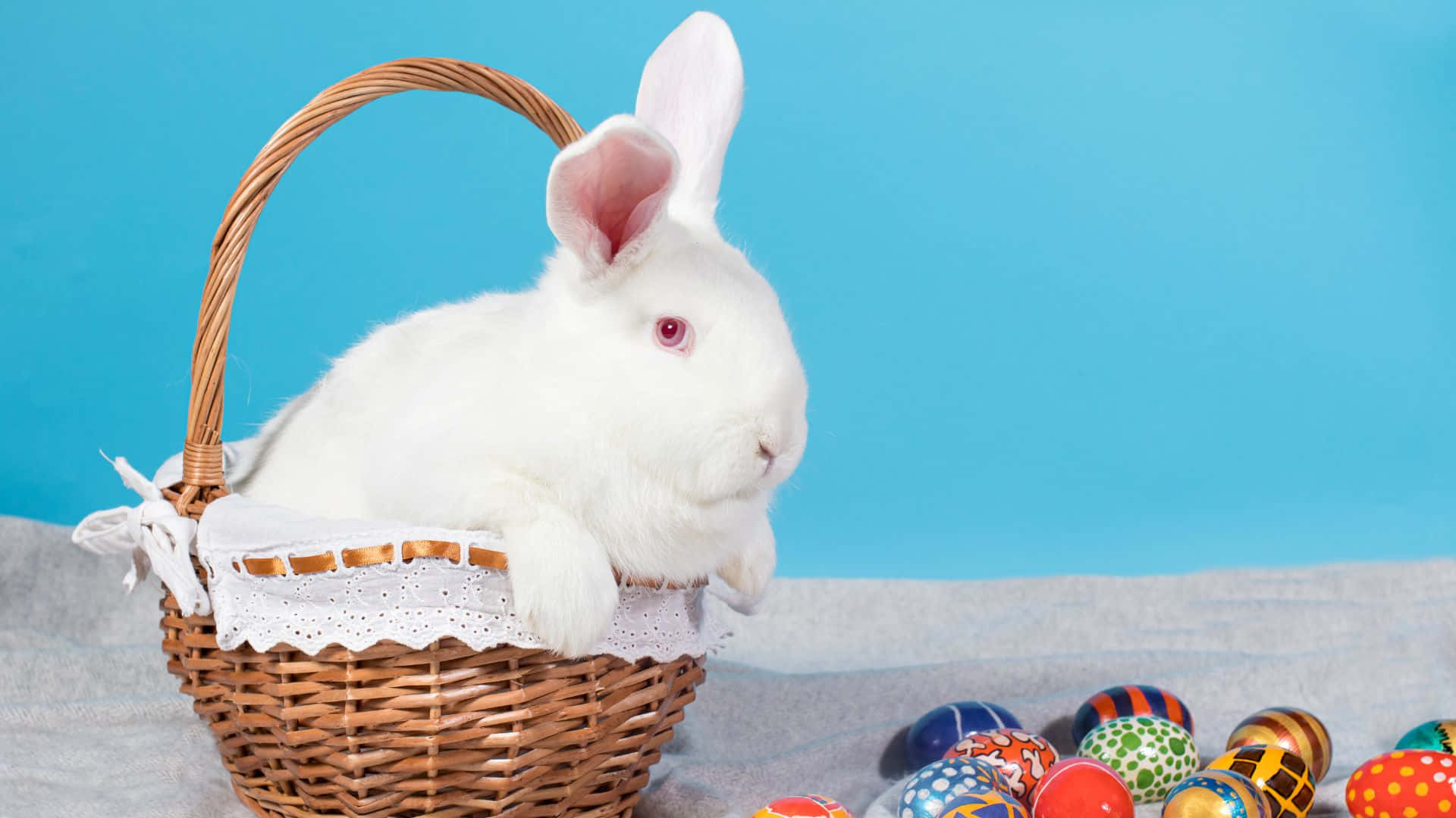 fluffy white rabbit, wicker basket, lace, Full HD Desktop Wallpaper