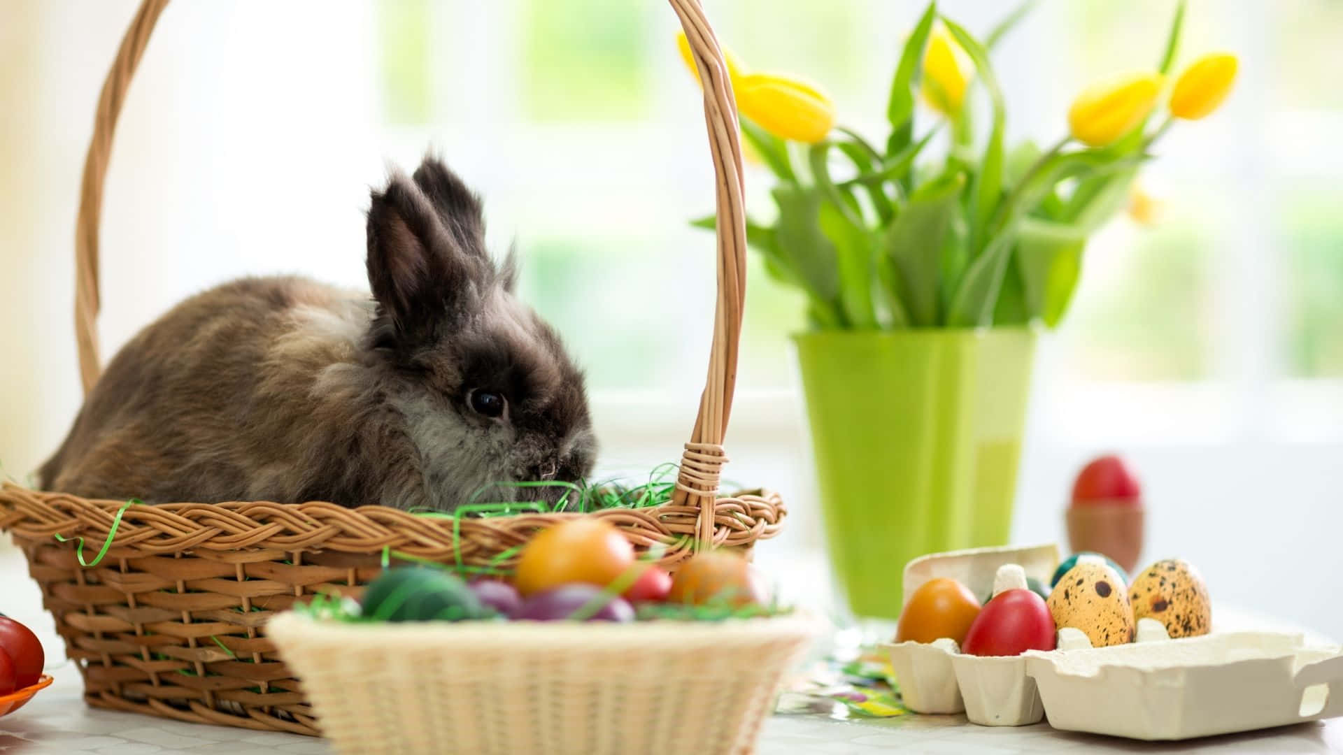 Easter Bunny, fluffy brown rabbit, wicker basket, Full HD Desktop Wallpaper